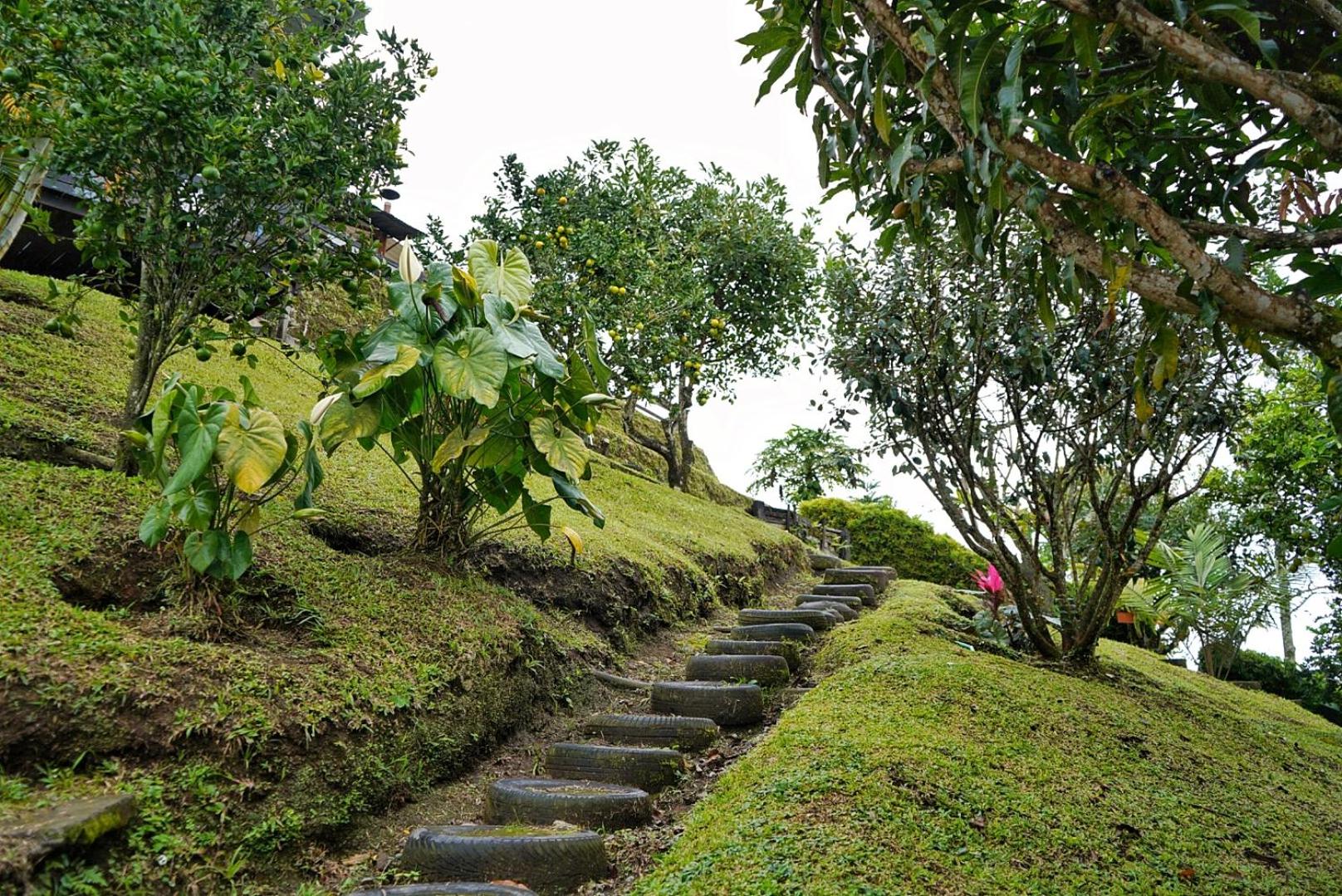Hospedaje Mirador La Aurora Filandia
