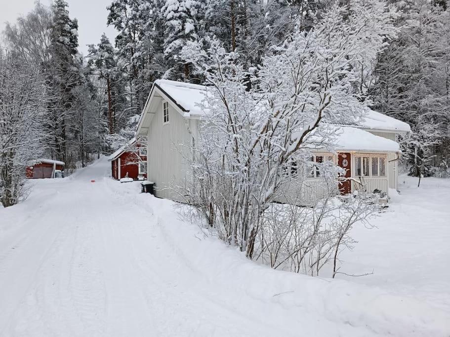 A cozy sauna cottage in Padasjoki