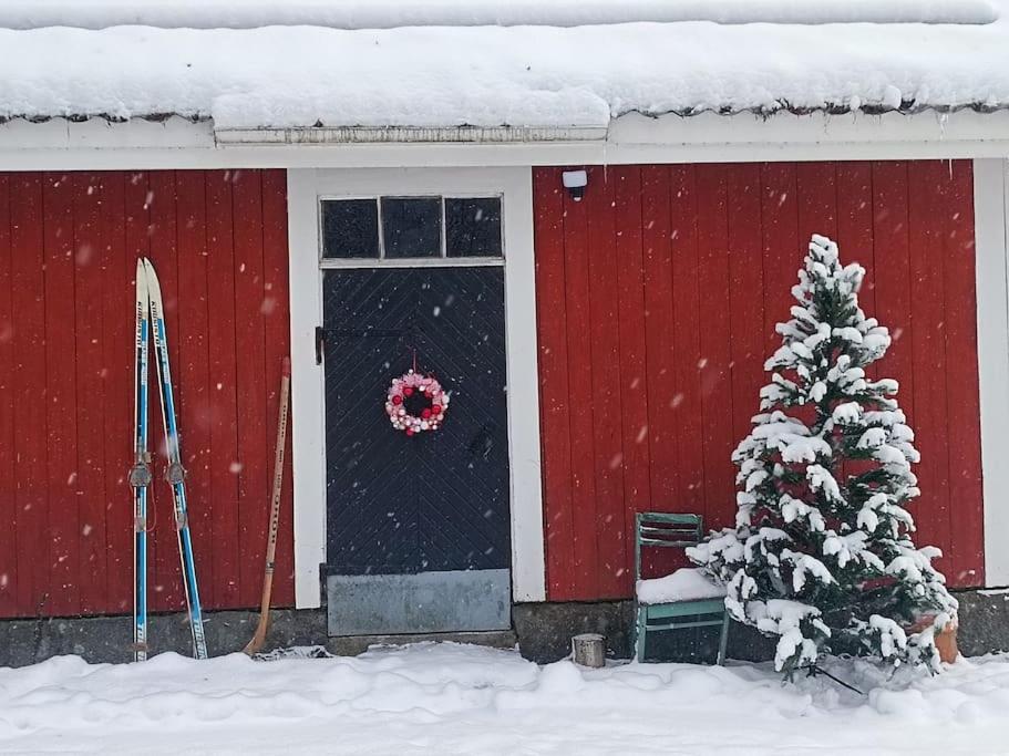 A cozy sauna cottage in Padasjoki