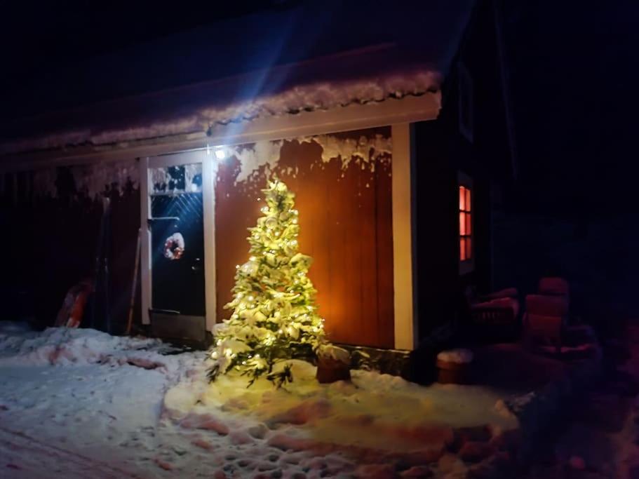 A cozy sauna cottage in Padasjoki