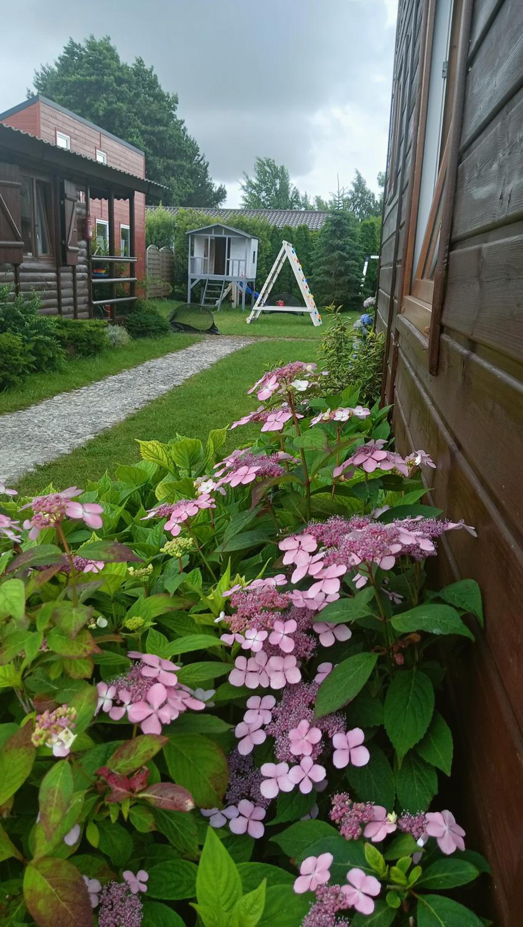 Photo 37