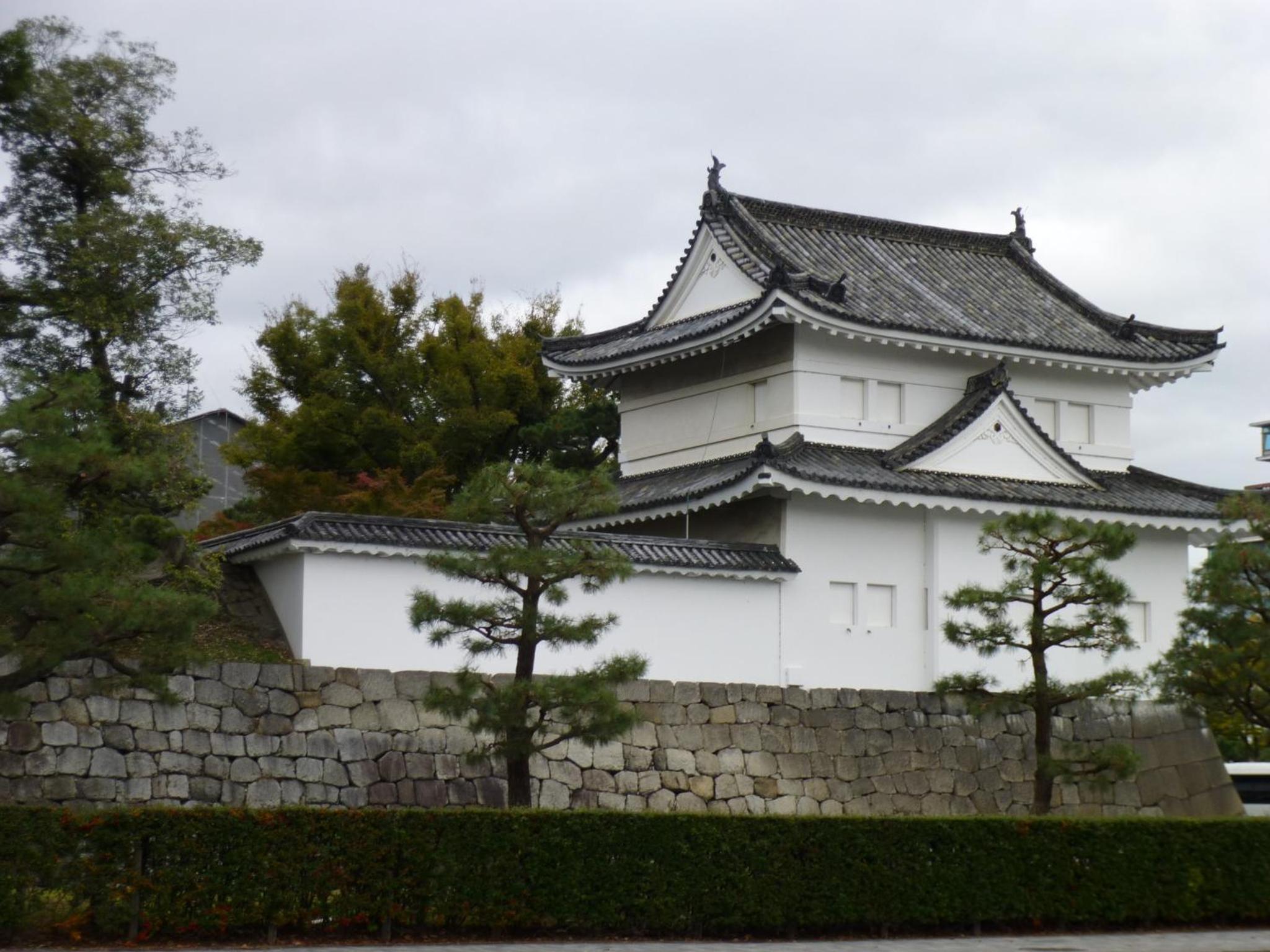 Photo 16