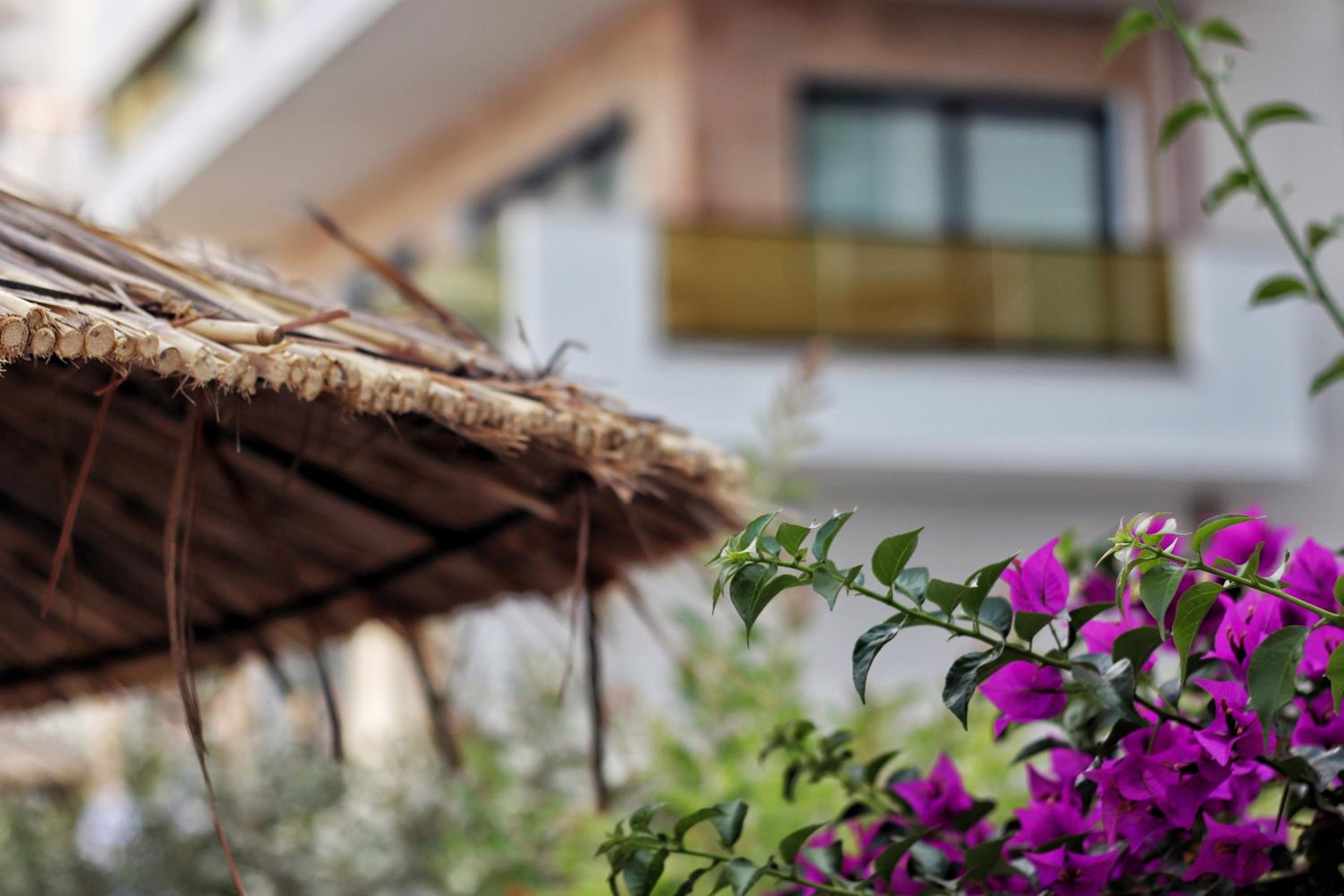 Golden Beach Suites