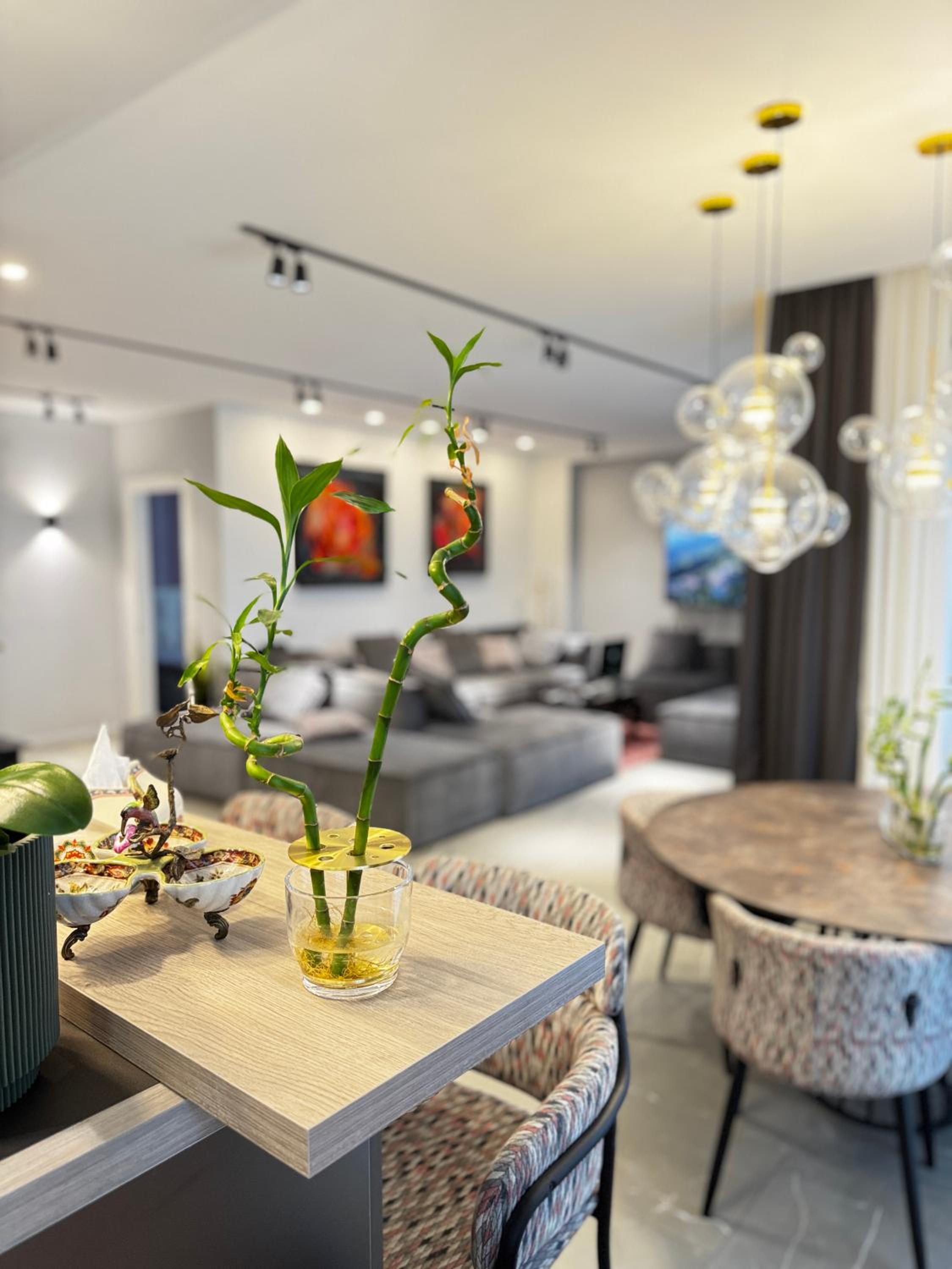 stars apartment krtsanisi