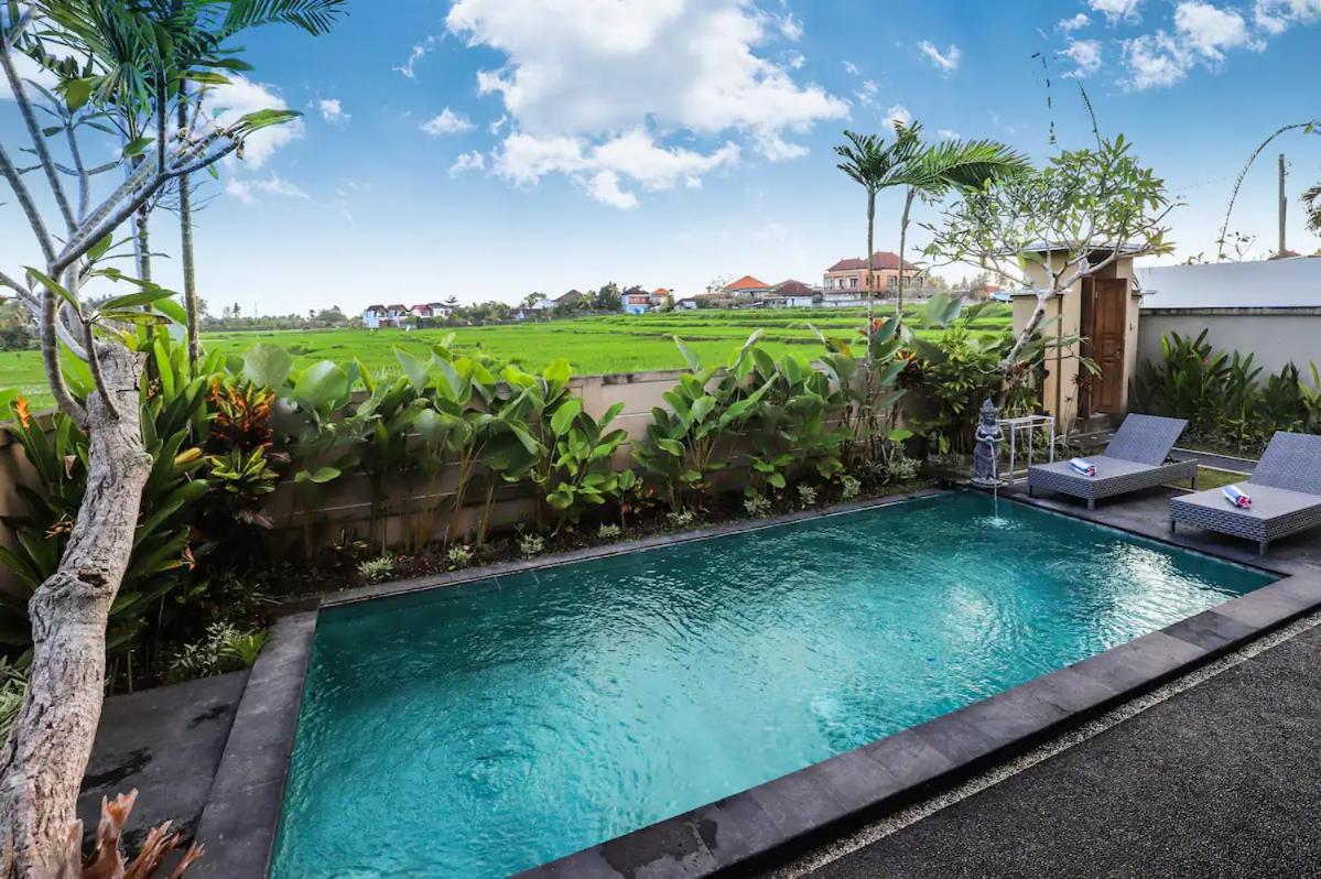 Rice View Villa - inhale Ubud air and unique vibe view 2