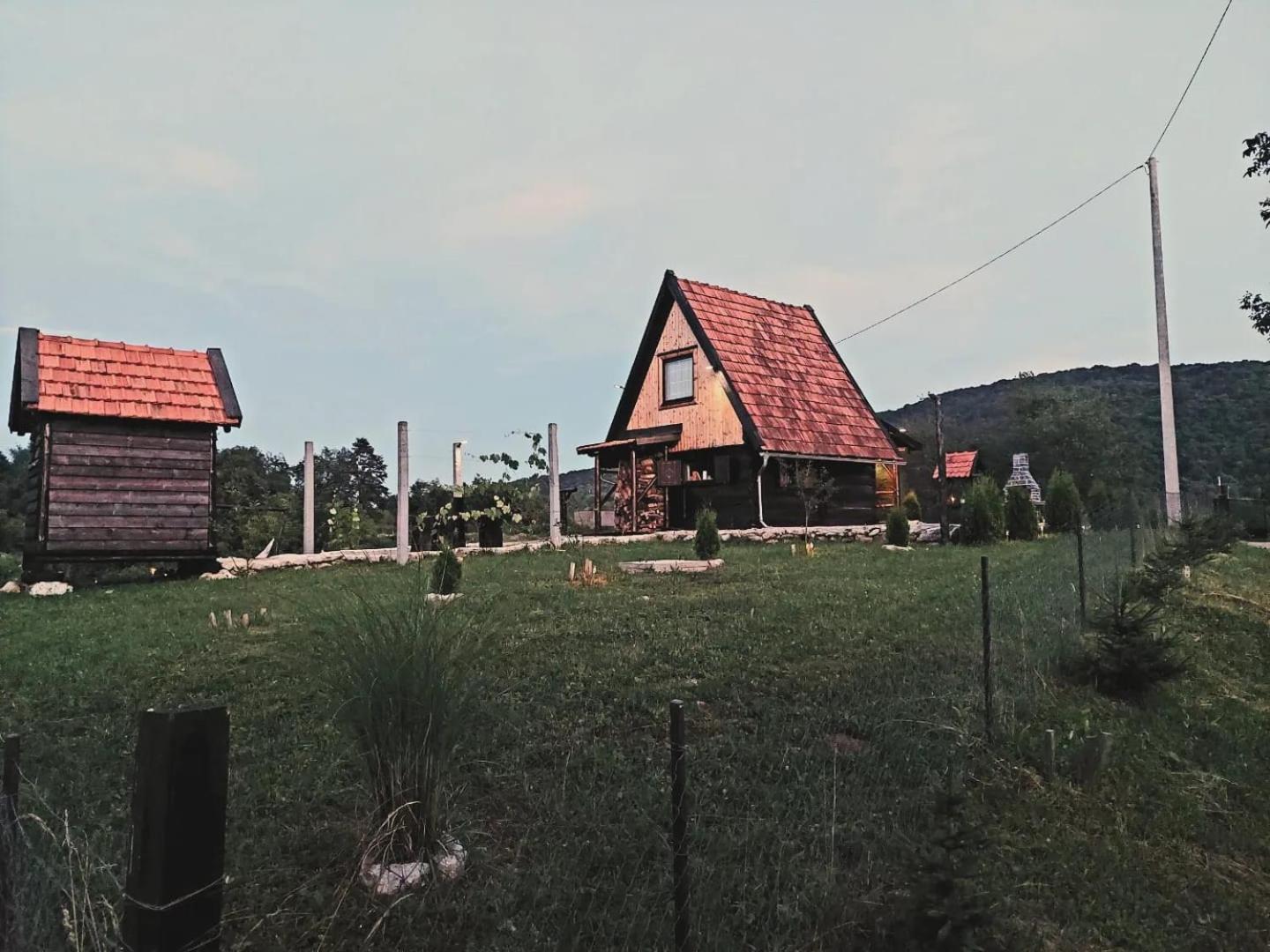 Photo 20