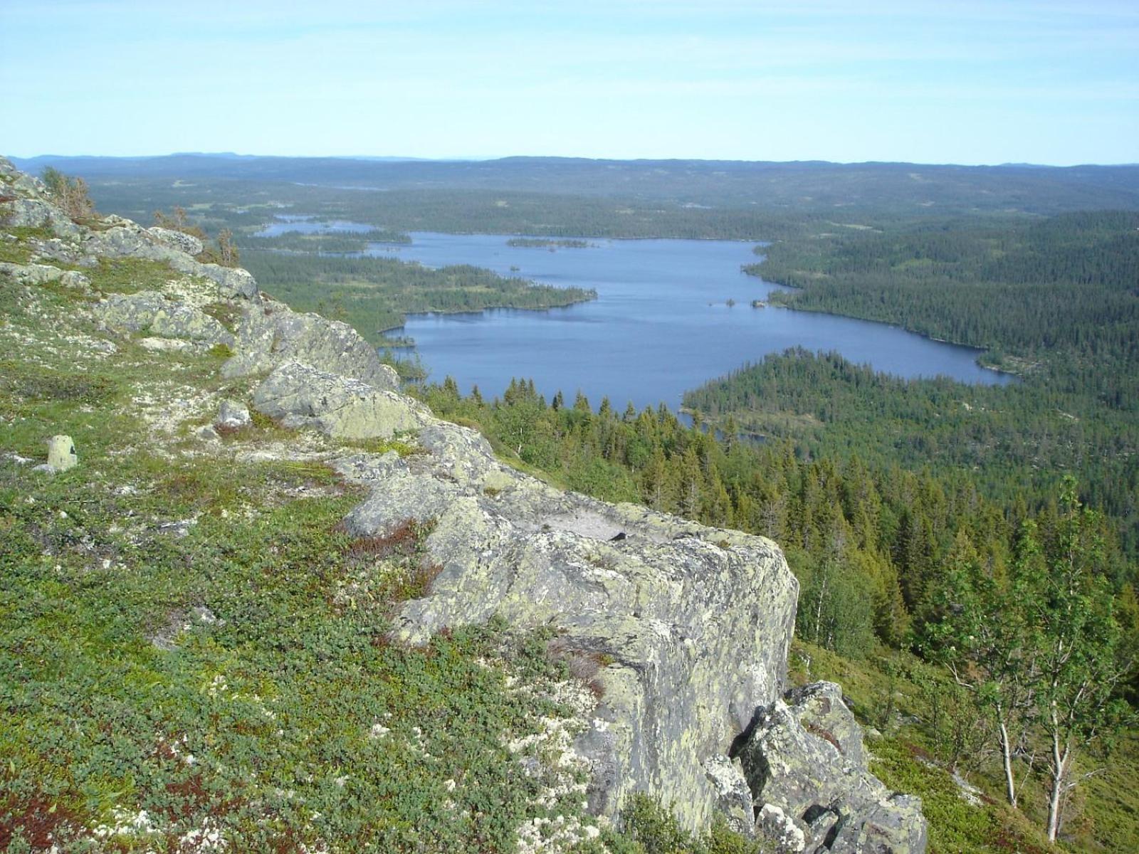 Hytte på fjellet, med mange turmuligheter ! view 4