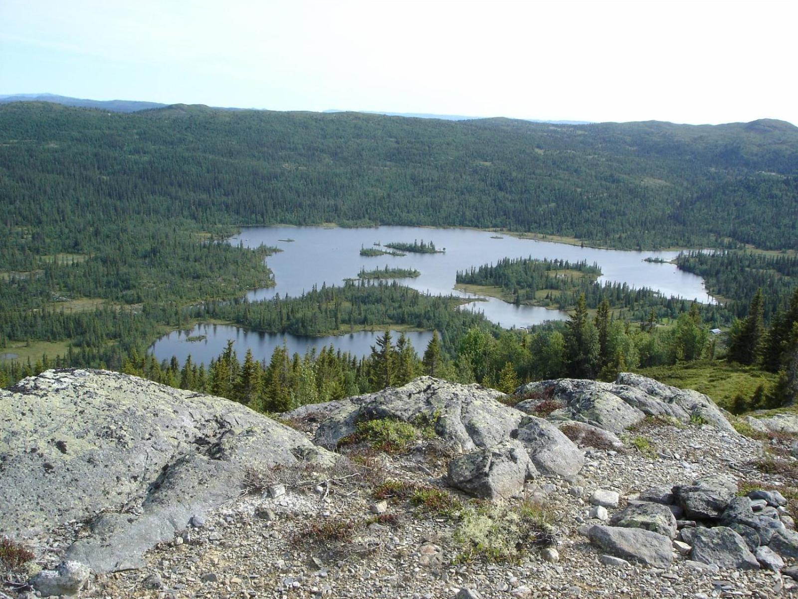 Hytte på fjellet, med mange turmuligheter ! view 3