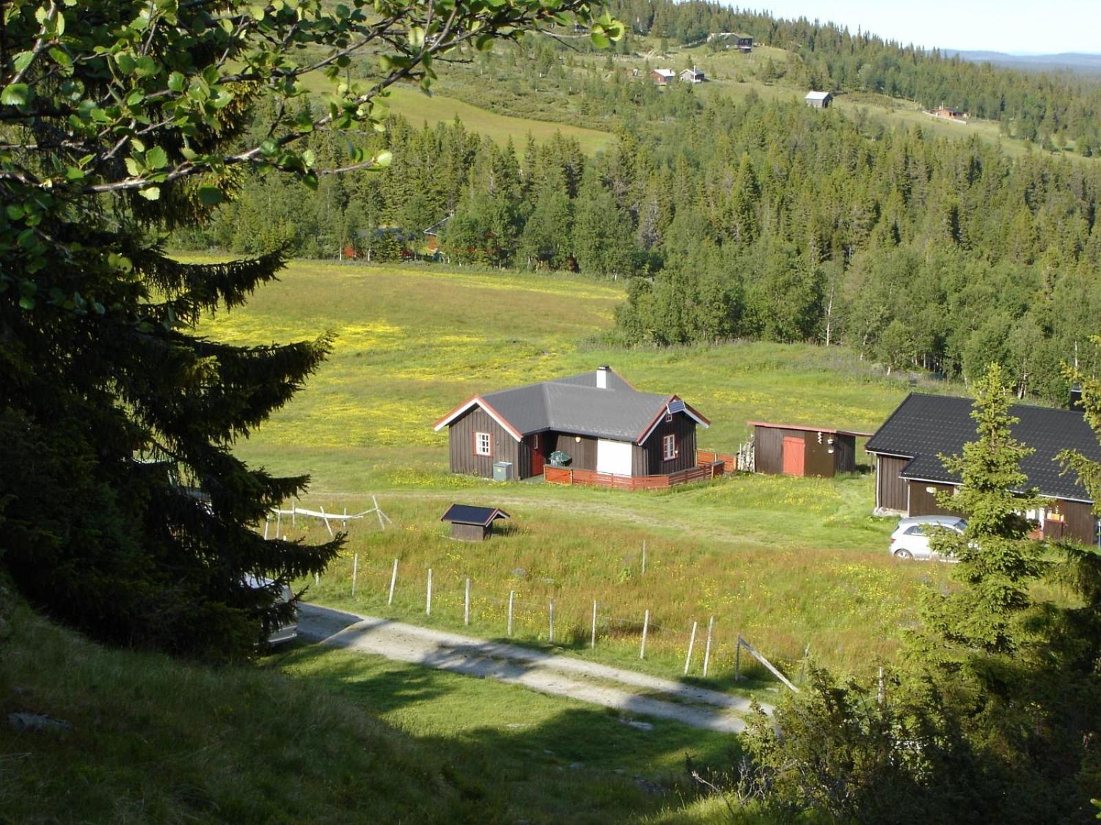 Hytte på fjellet, med mange turmuligheter ! view 2