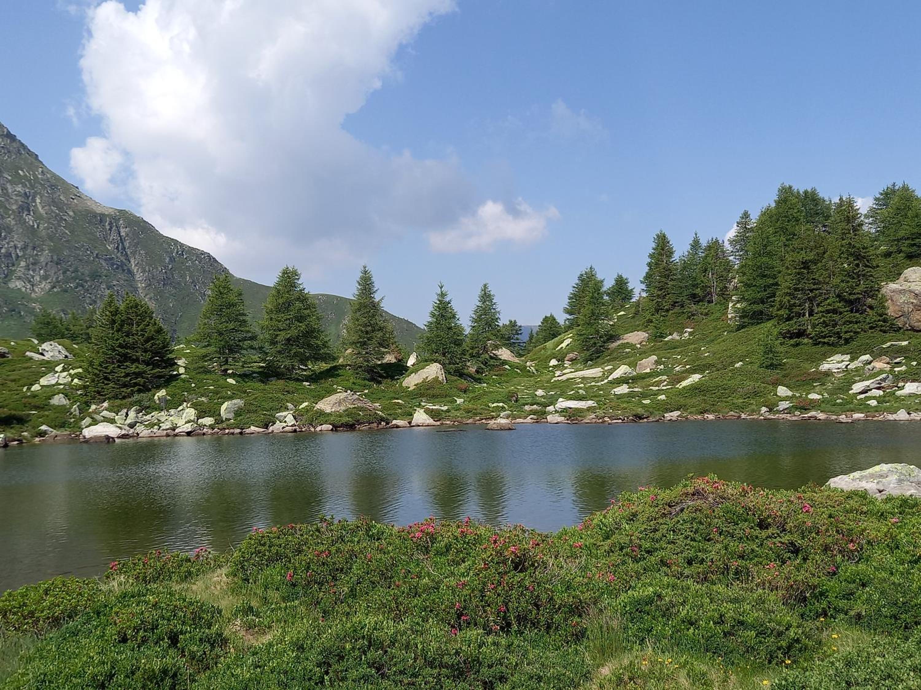Wohnung mit schöner Sicht auf Bergpanorama und übers Tal