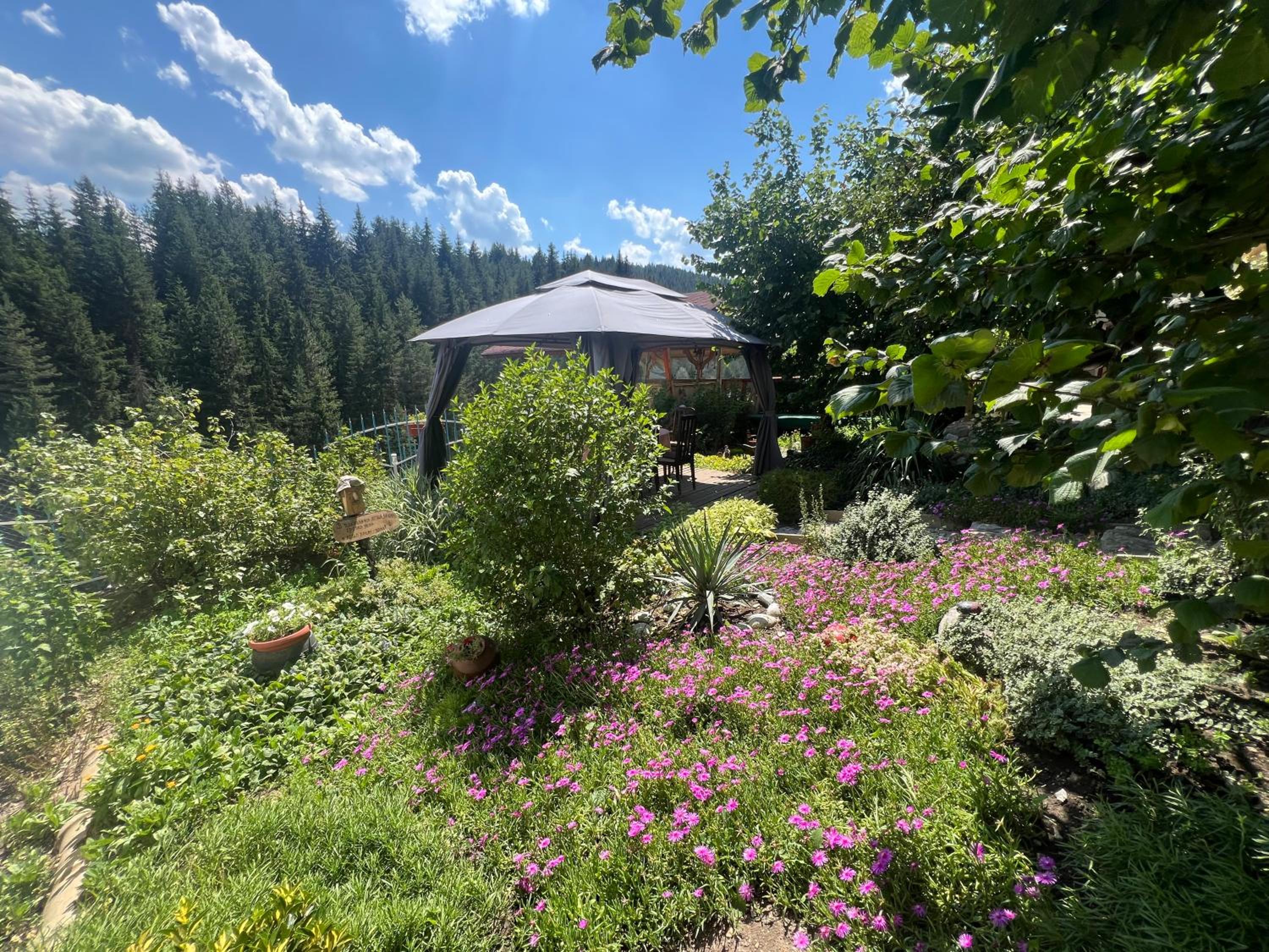 Guest House Milka