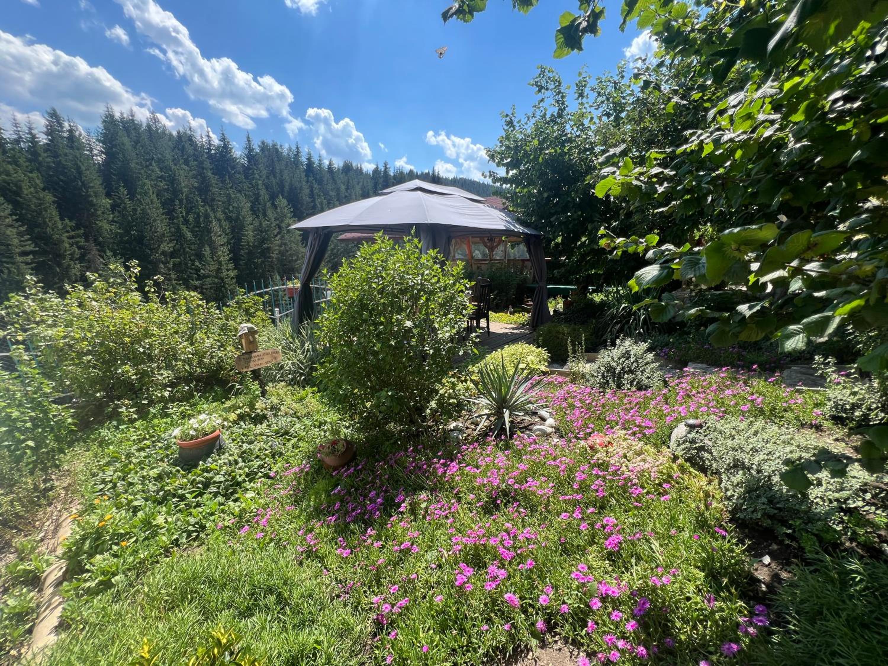 Guest House Milka