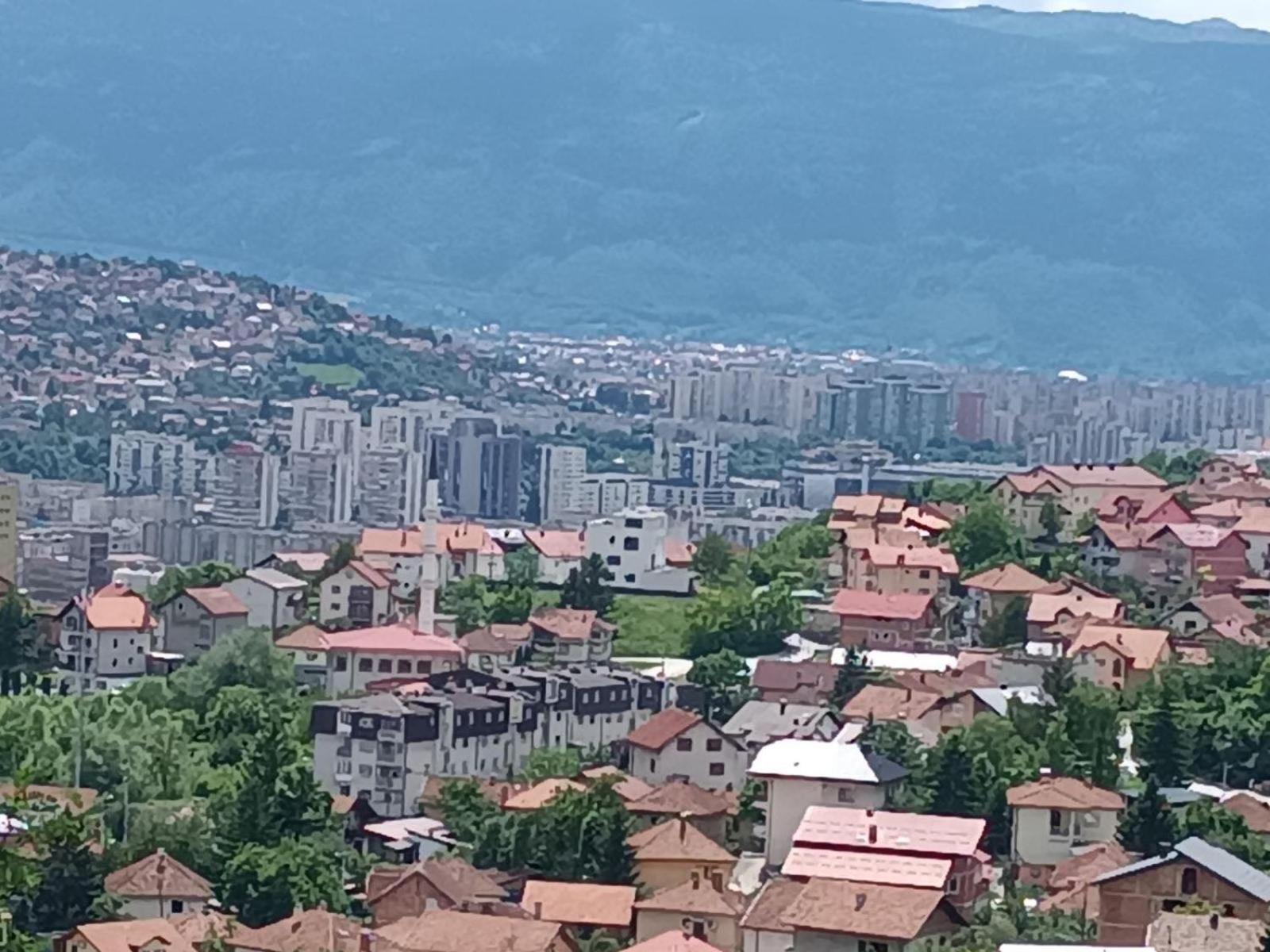 Pogled