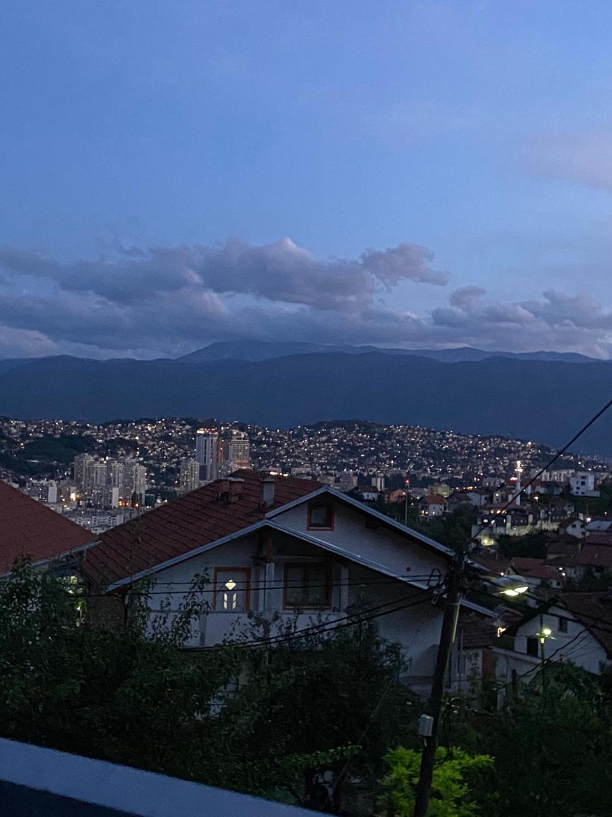 Pogled