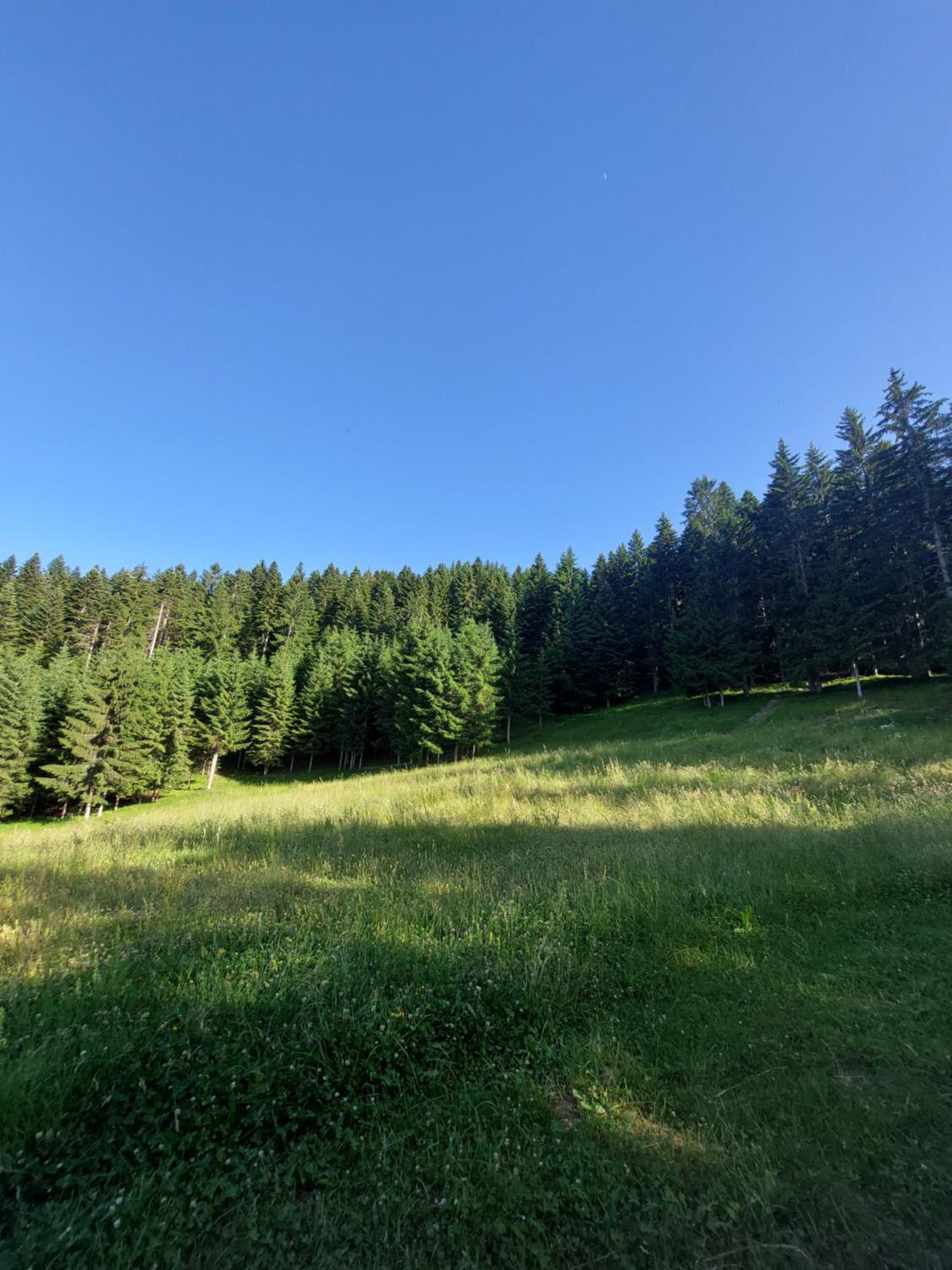 Cottages Kriva Breza