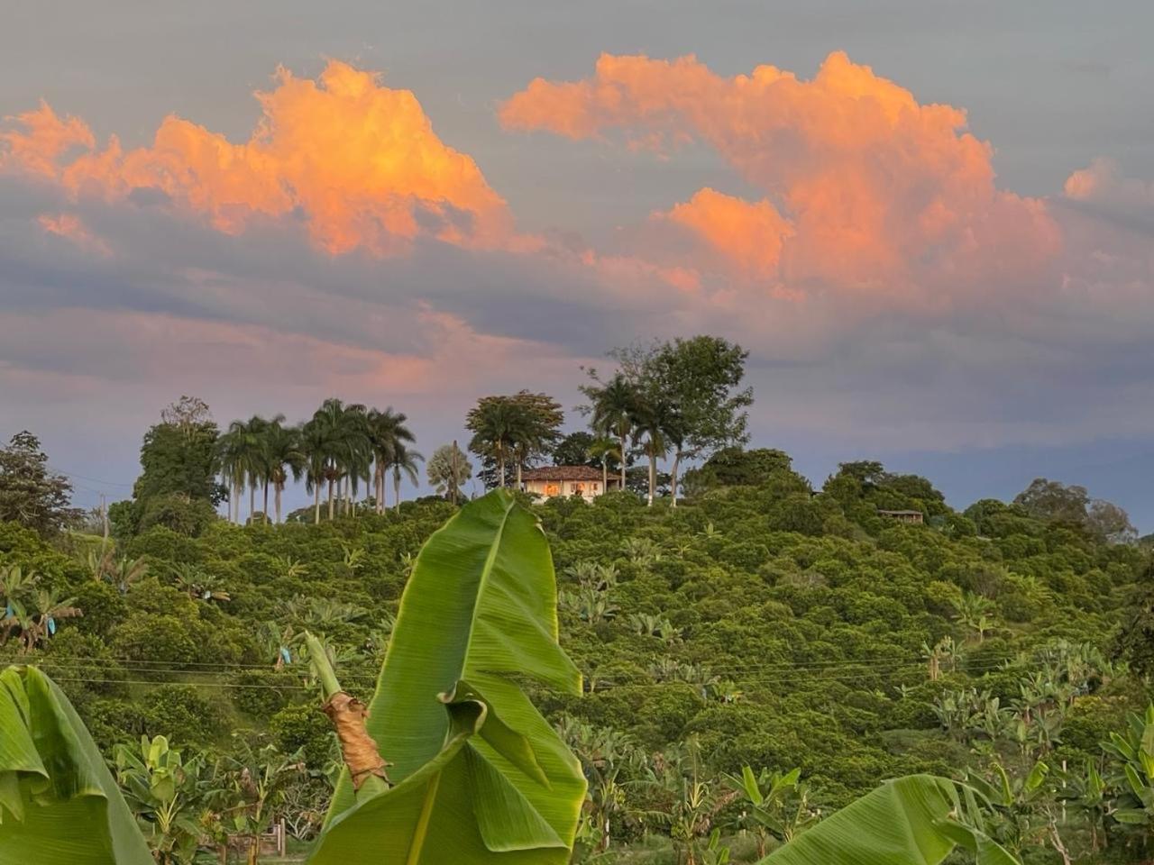 Finca Montenegro