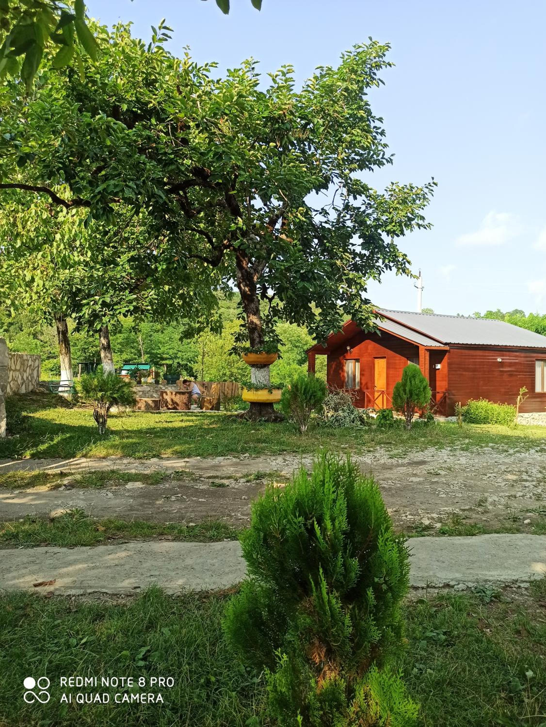 Photo 23