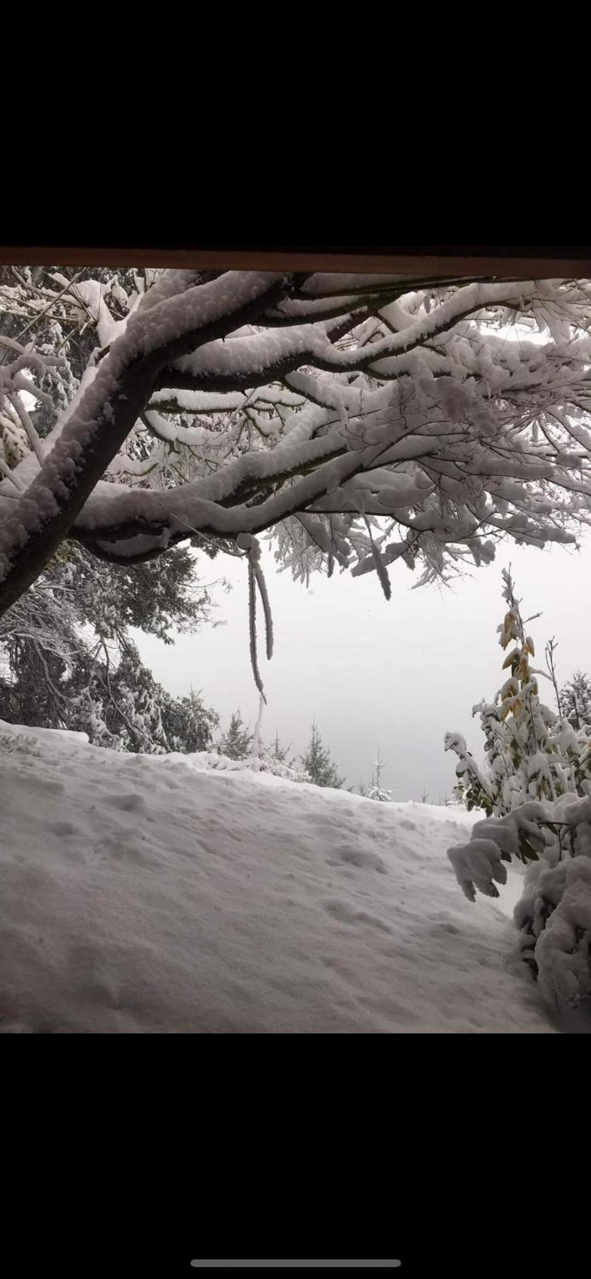 Lago Azul Bariloche
