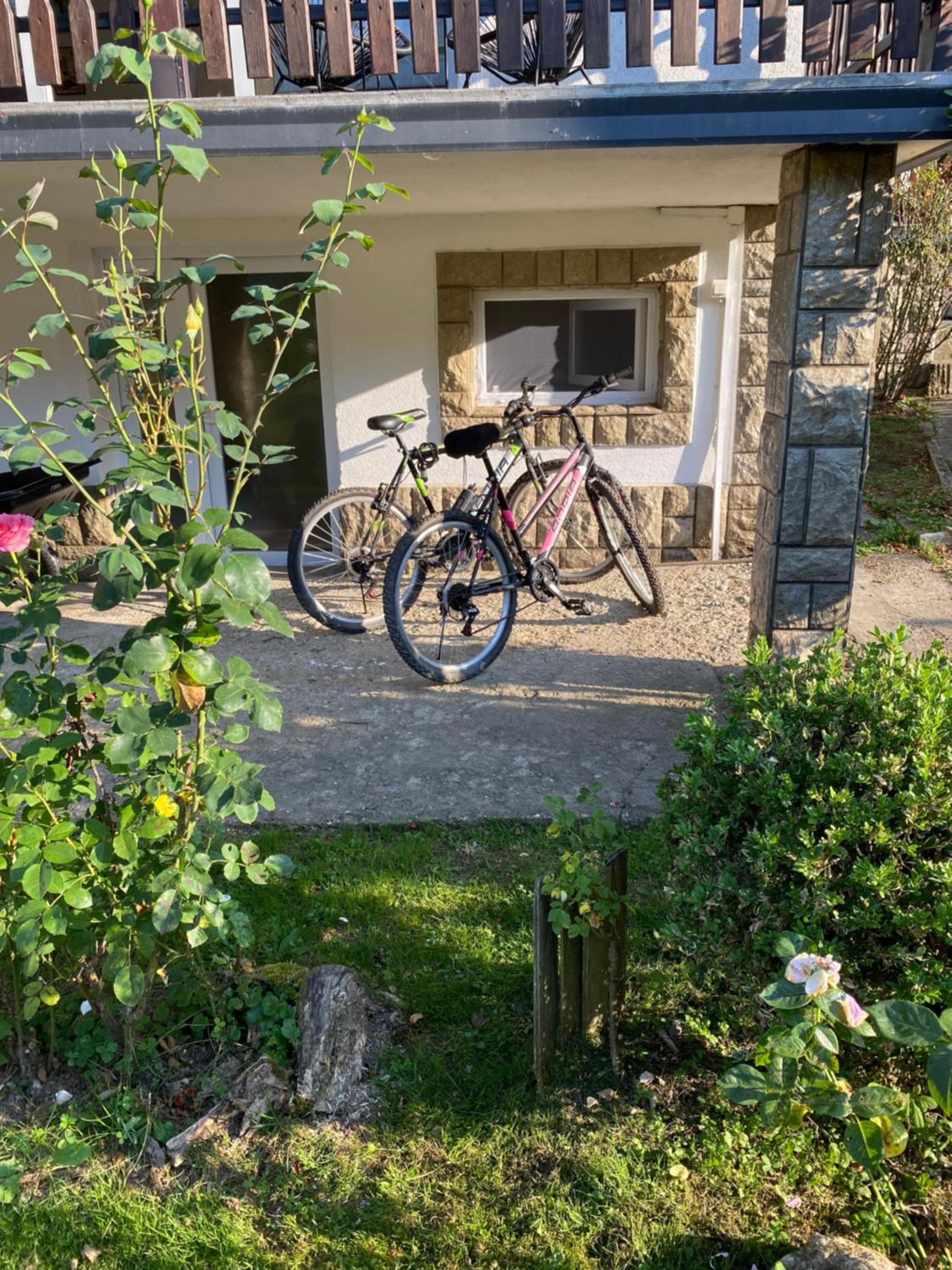 Apartman Maslina