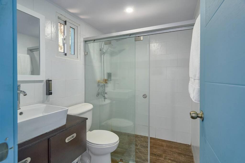 New-CasitaDeLasFlores-View-Wifi-Jacuzzi-Jarabacoa