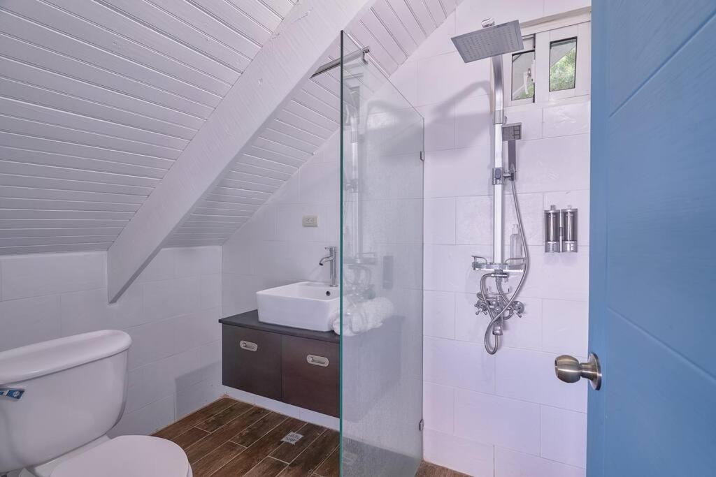 New-CasitaDeLasFlores-View-Wifi-Jacuzzi-Jarabacoa