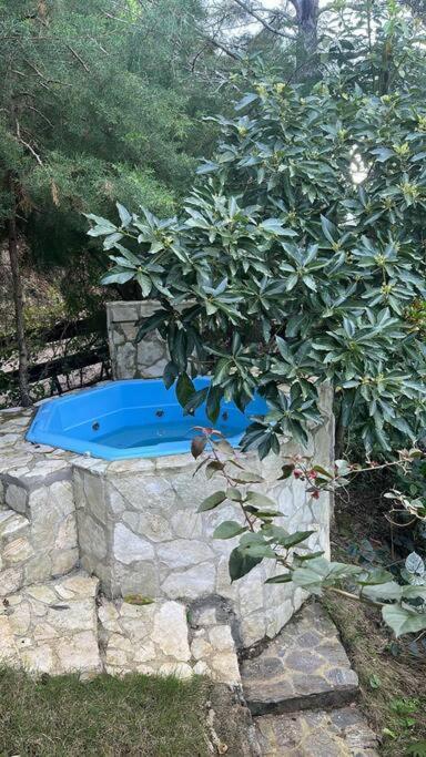 New-CasitaDeLasFlores-View-Wifi-Jacuzzi-Jarabacoa