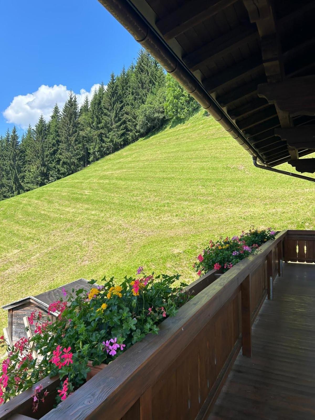 Sonnseit`n Hochmaisalm