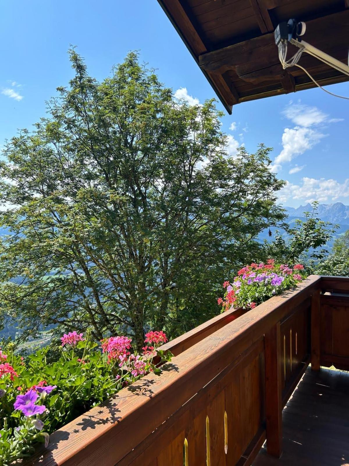 Sonnseit`n Hochmaisalm