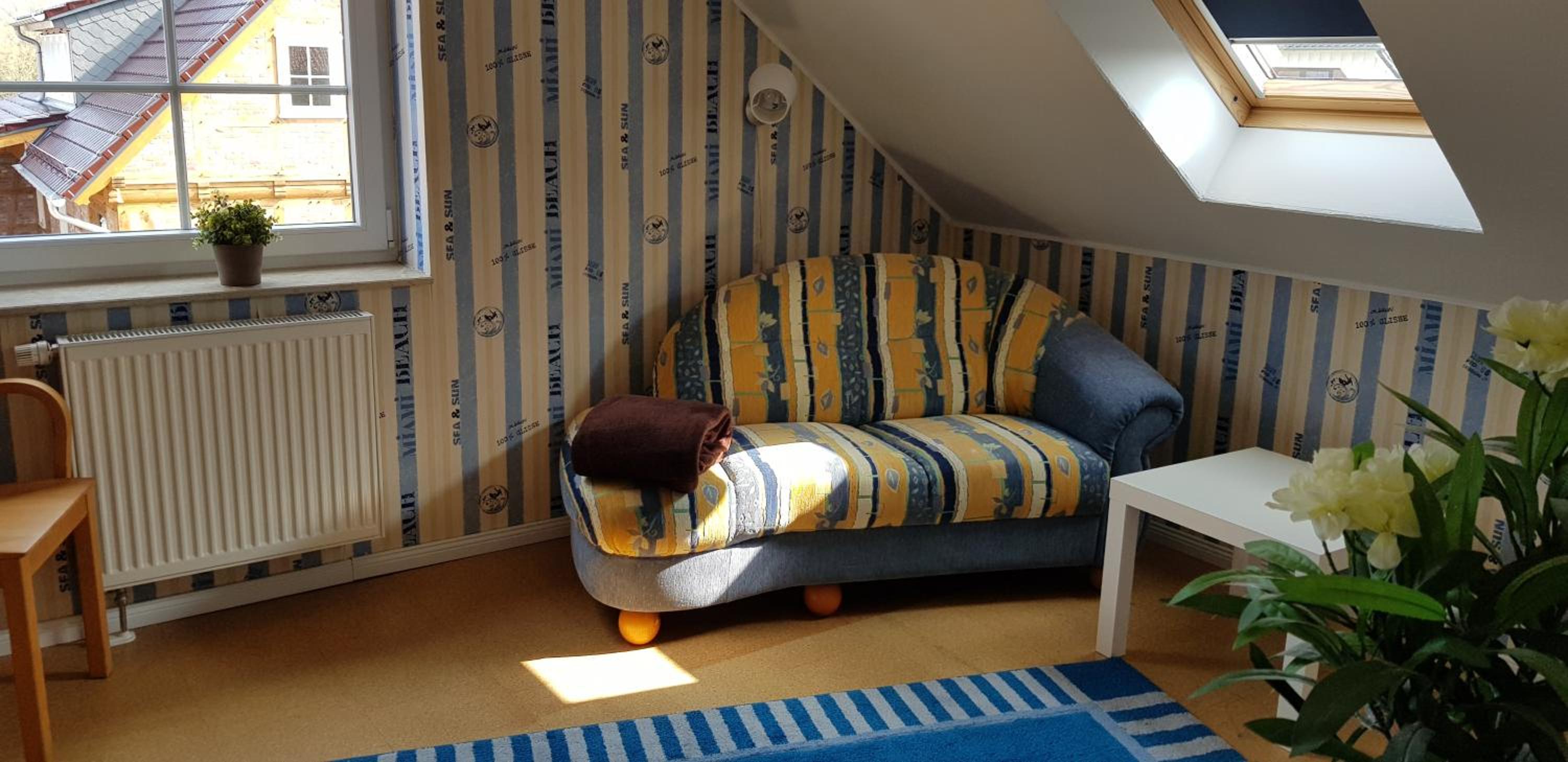 Seebär