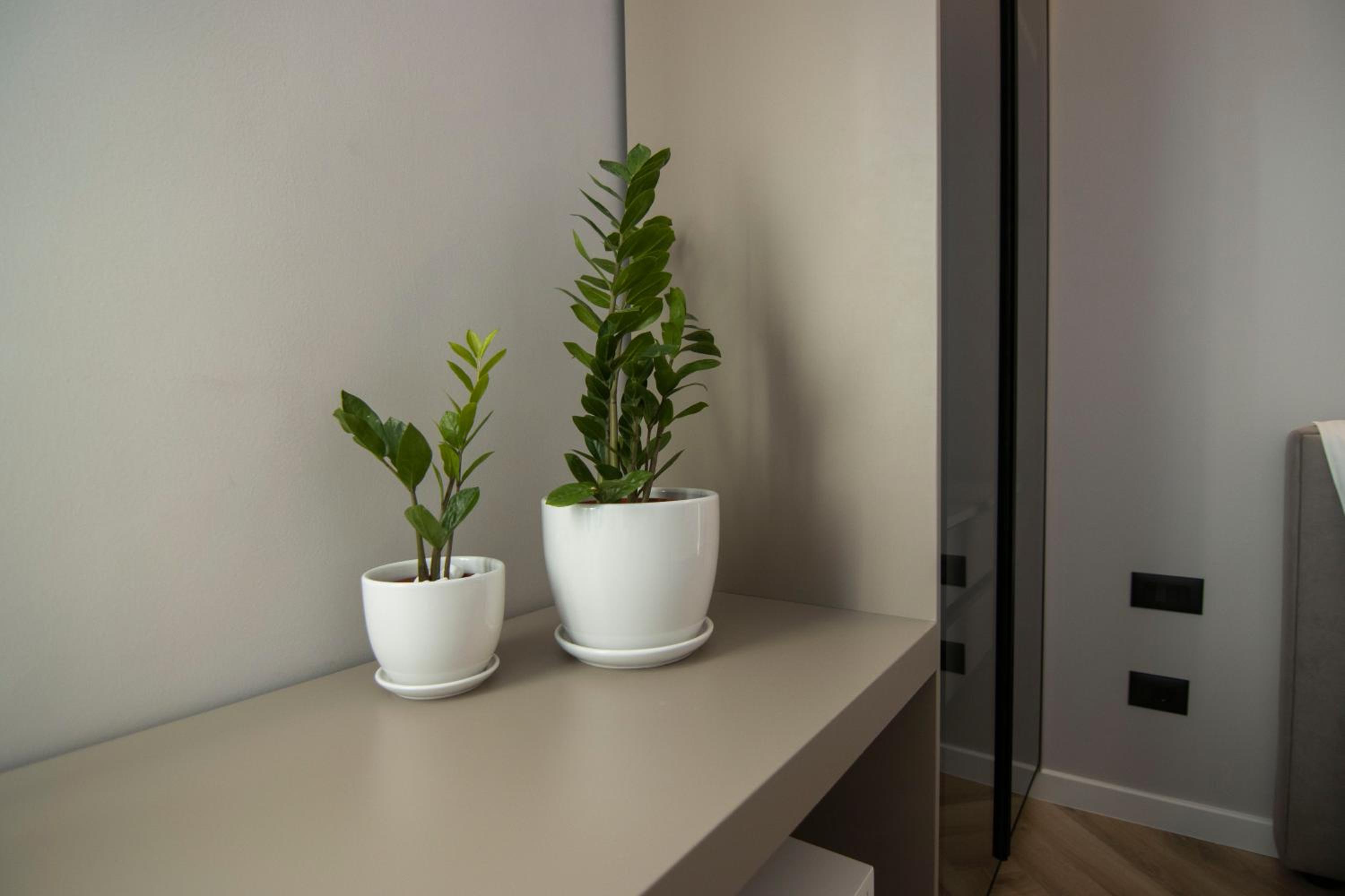 Mina Luxury Rooms