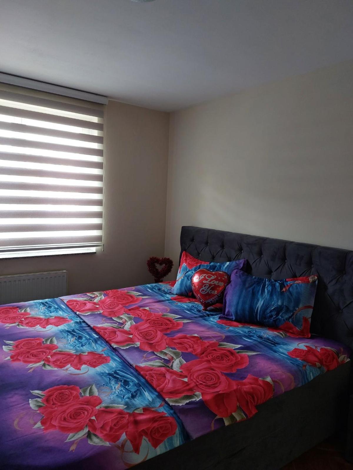 LNB Lux view 5