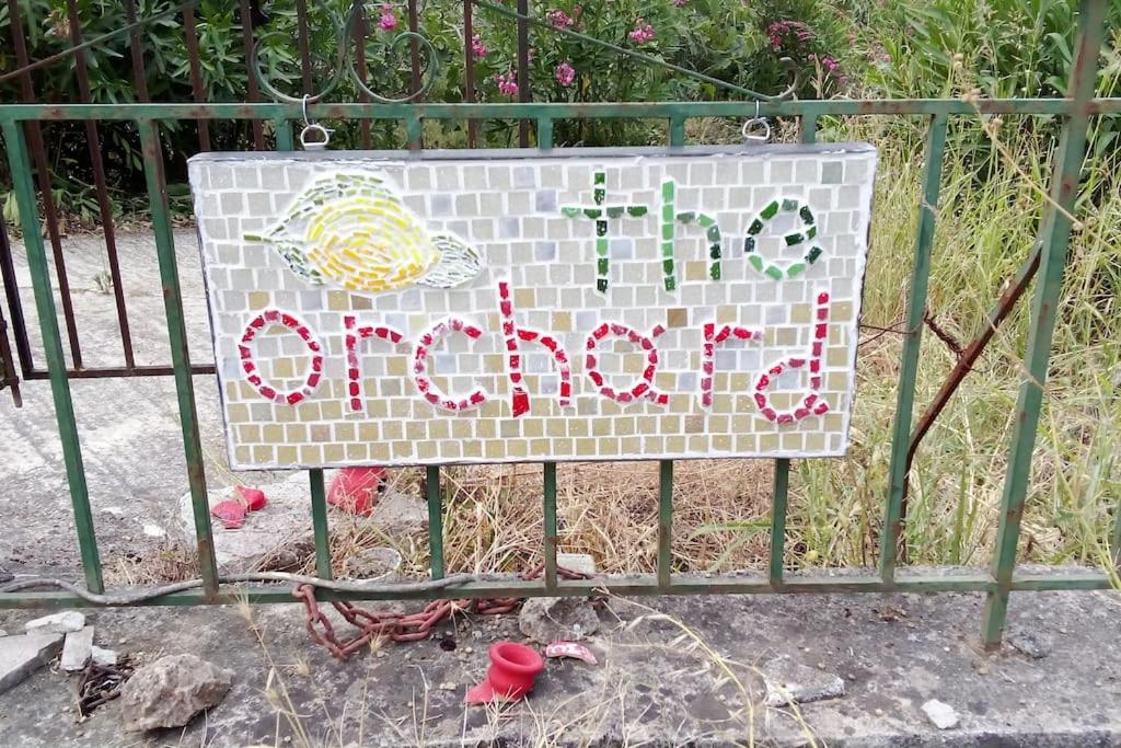 Friendly Orchard Oasis in Corfu's Tranquil Heart view 4