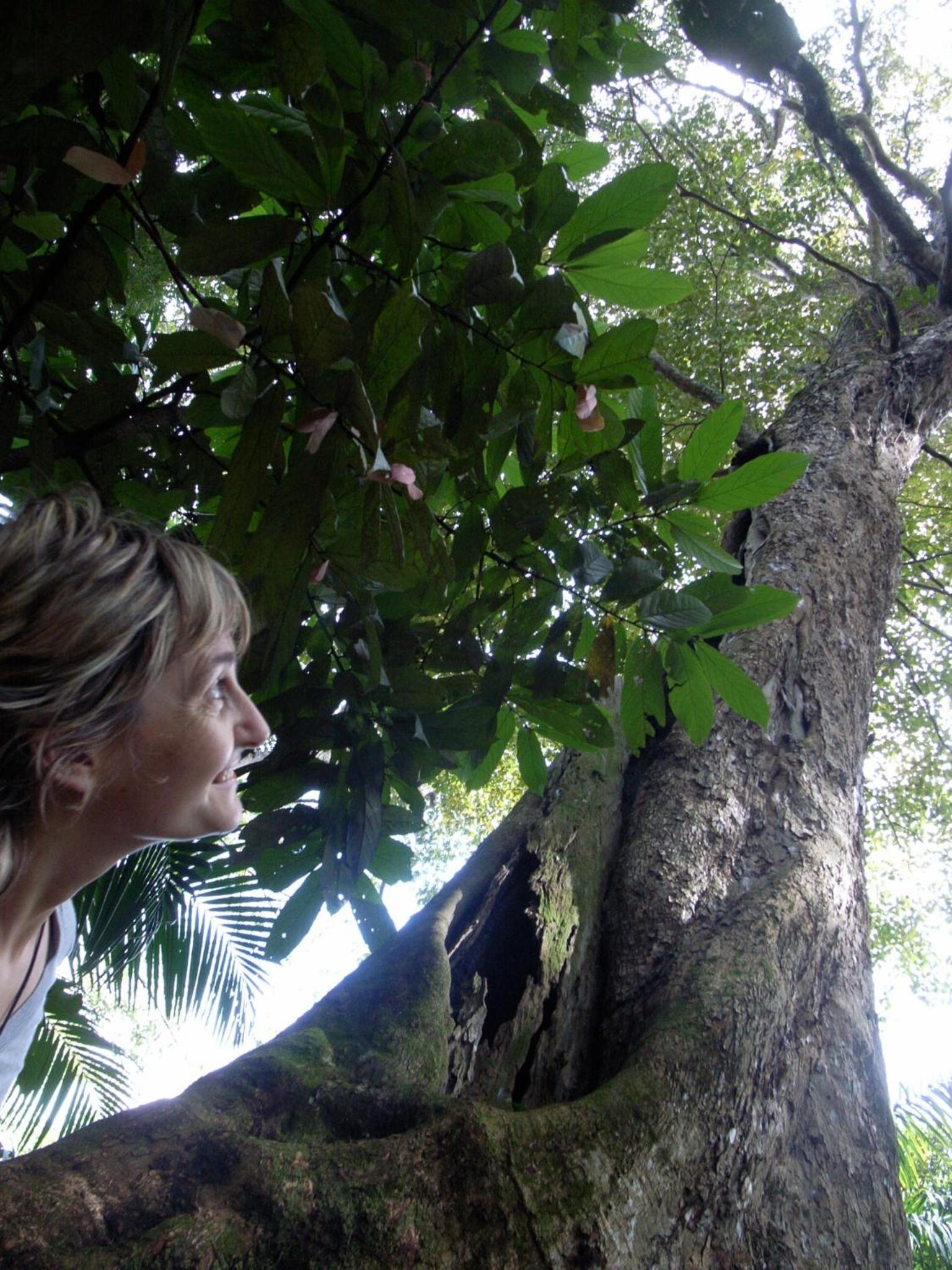 Amazonas Life Camp
