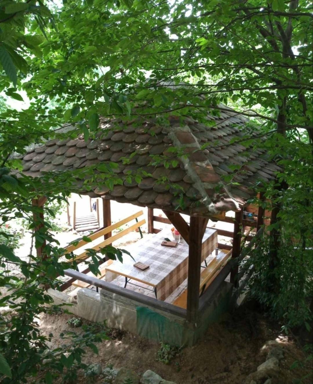 Photo 18