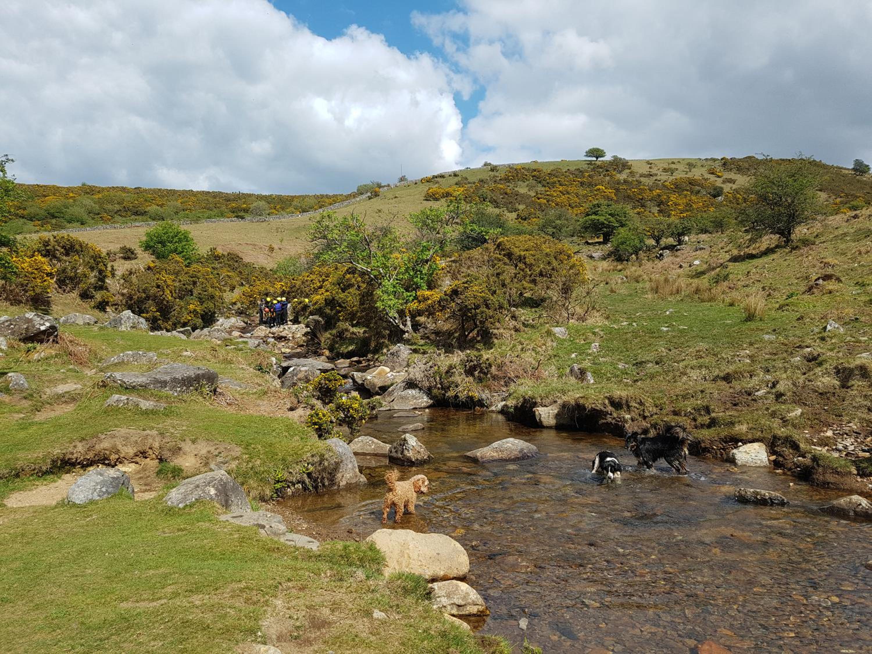Buttercups Lodge view 3