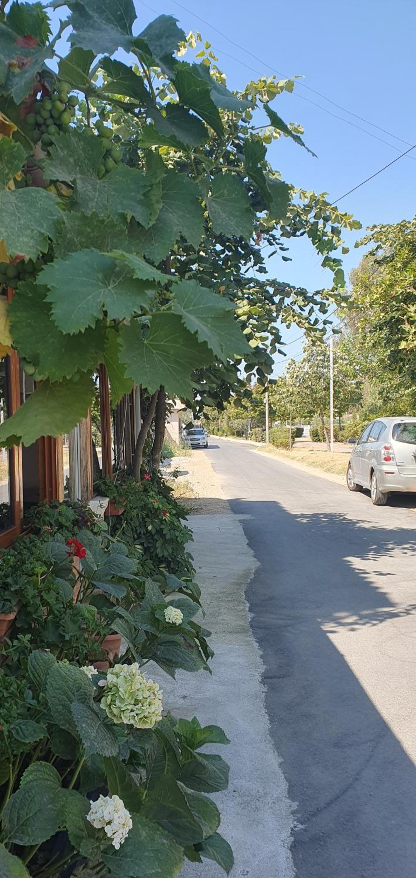 Small coz apartment in Durres