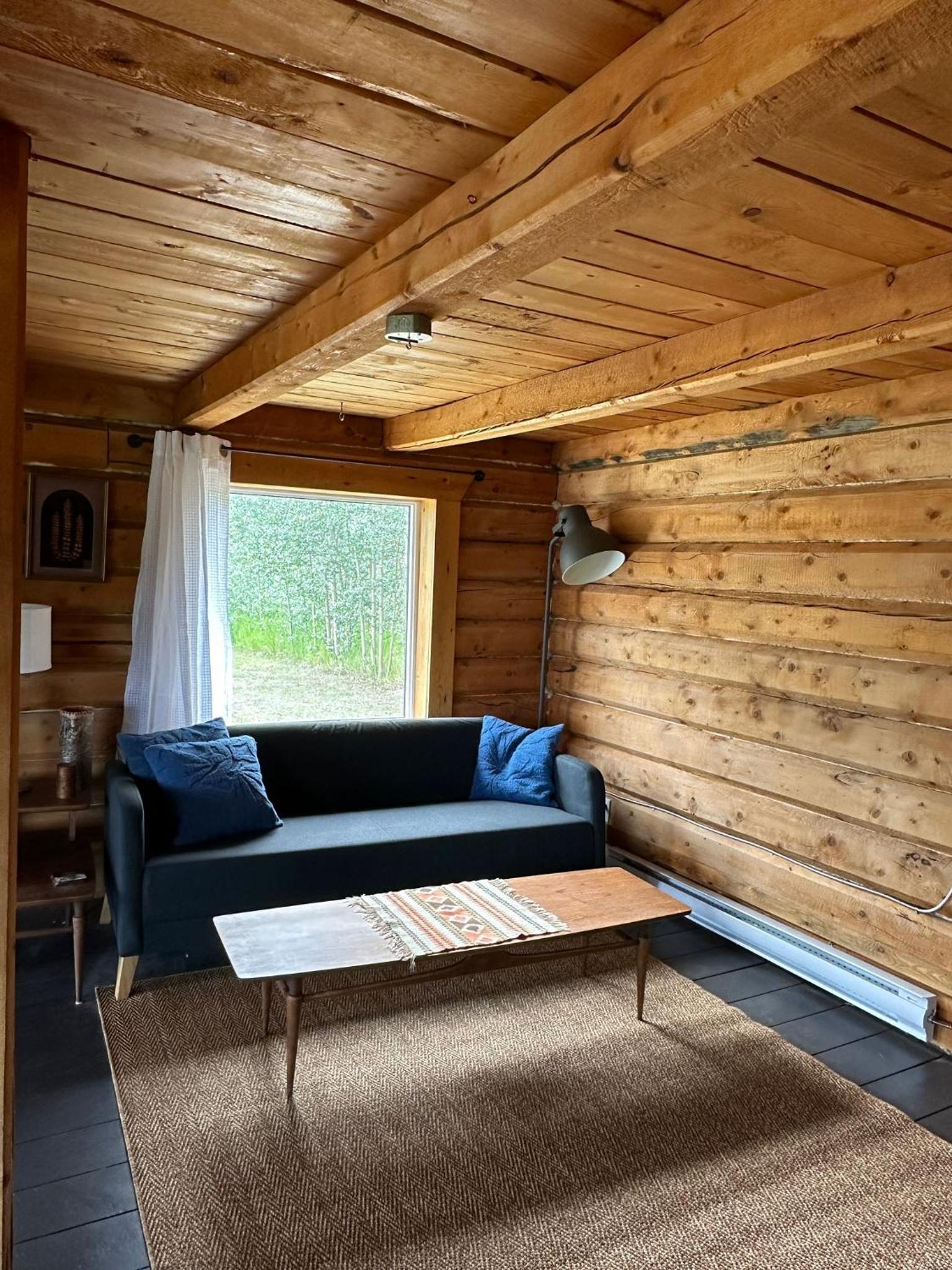 Dry Log Cabin with Mountain Views