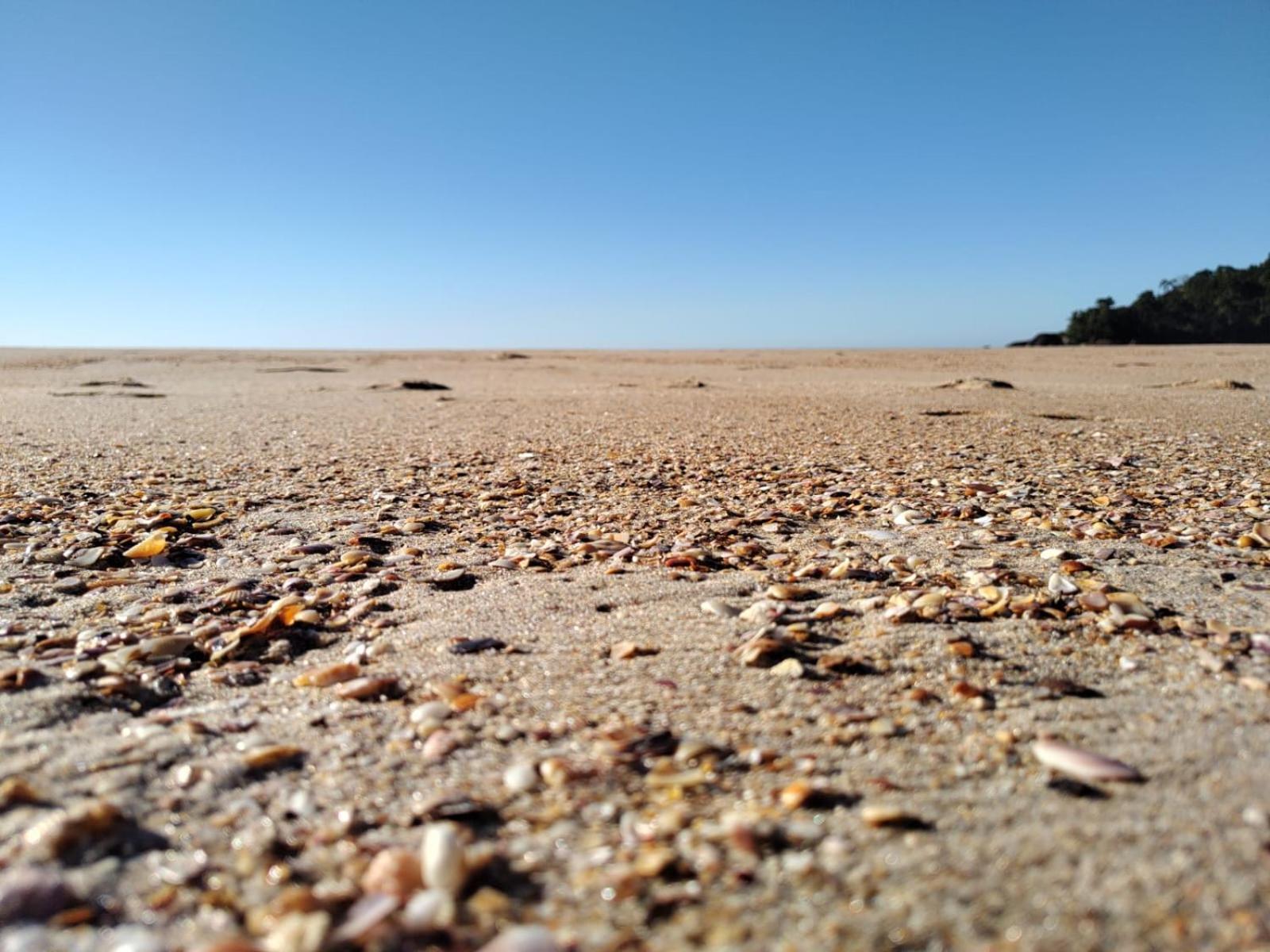 Flats do Félix