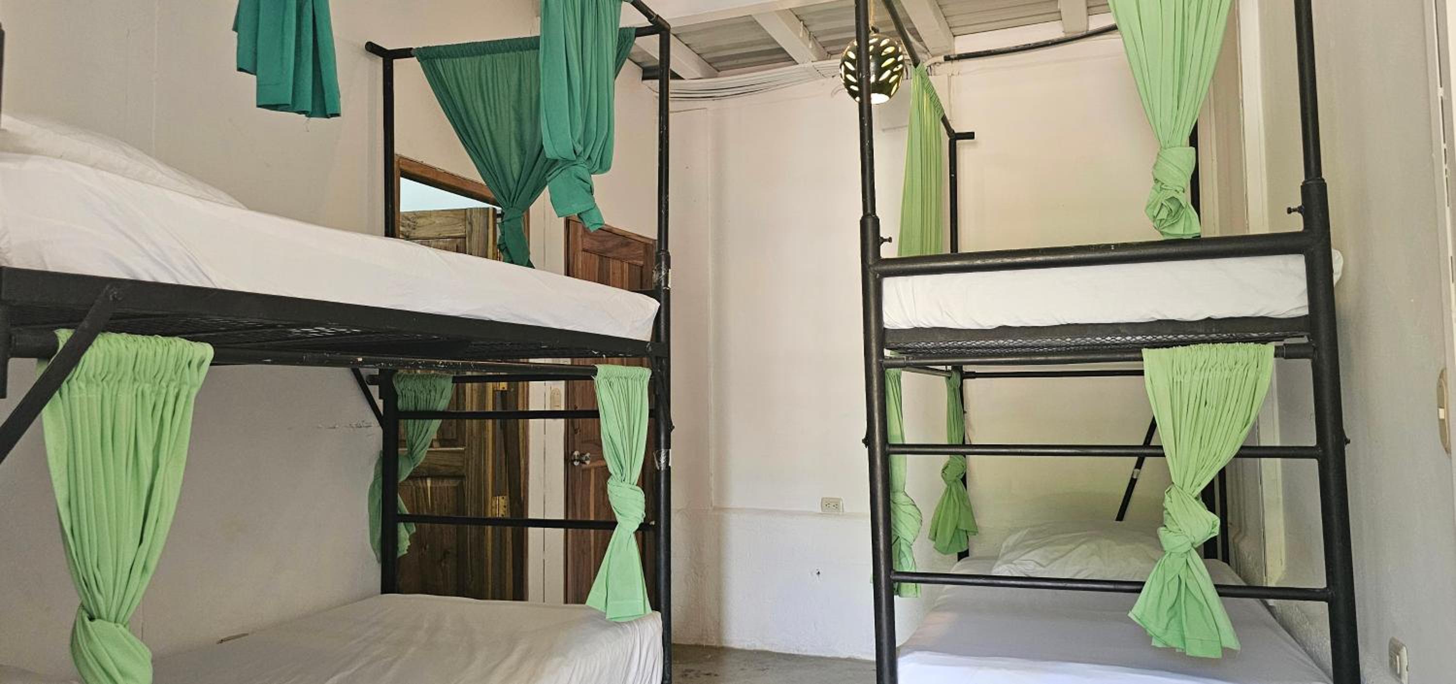 Casa Oro Eco Hostel