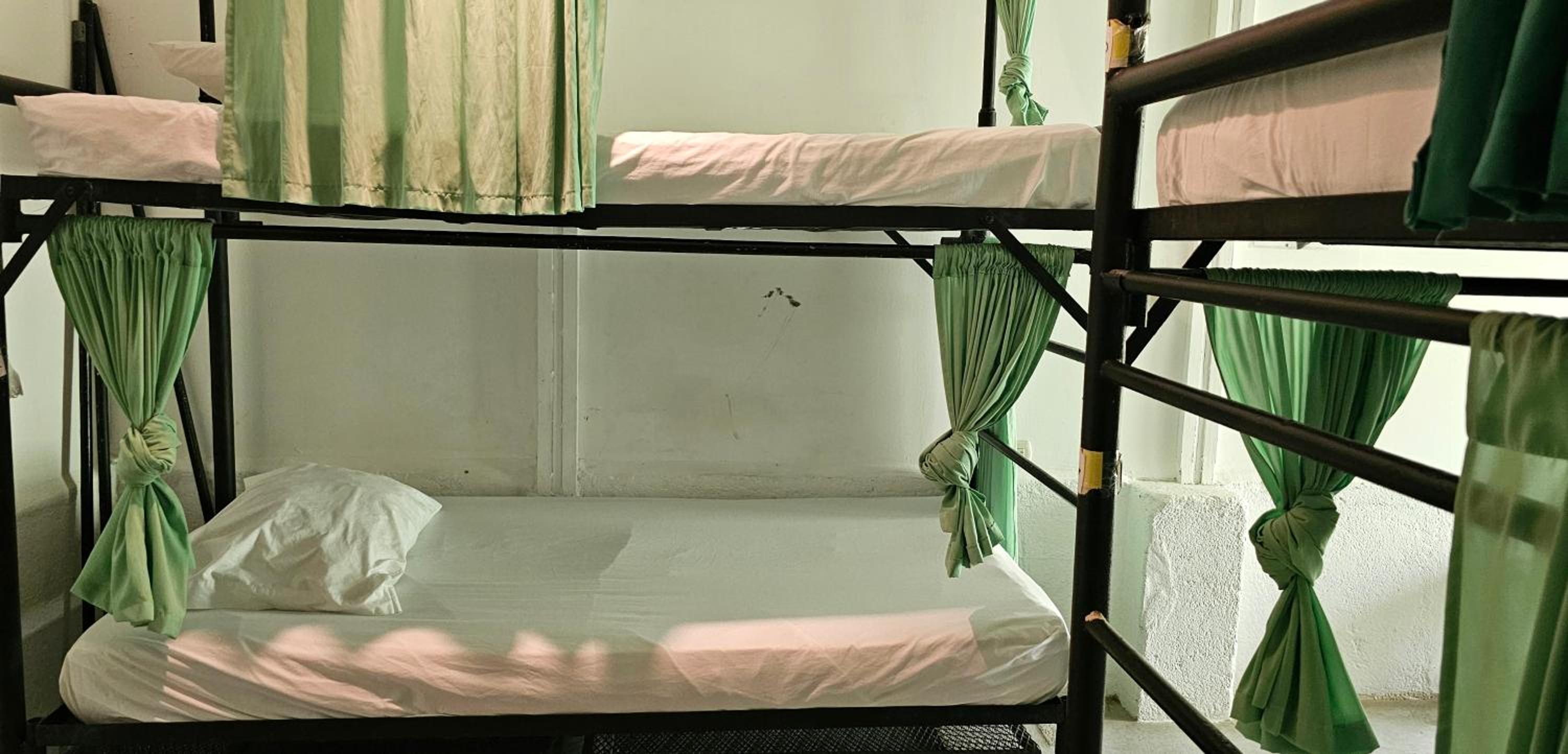 Casa Oro Eco Hostel
