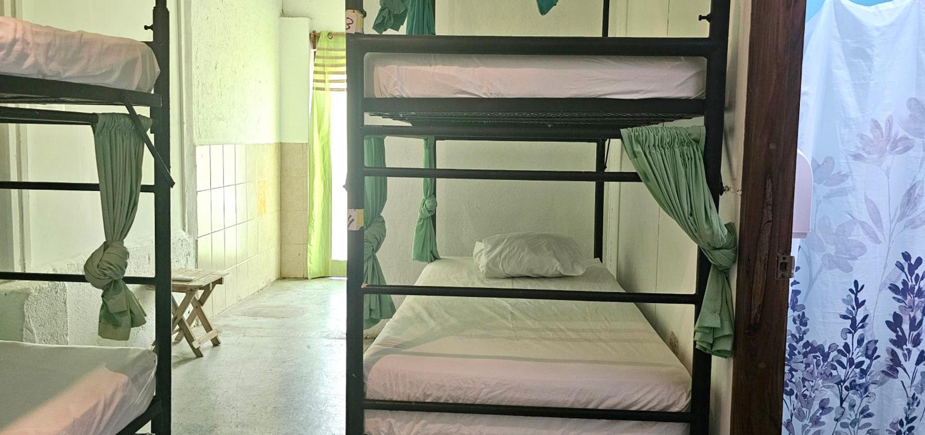 Casa Oro Eco Hostel