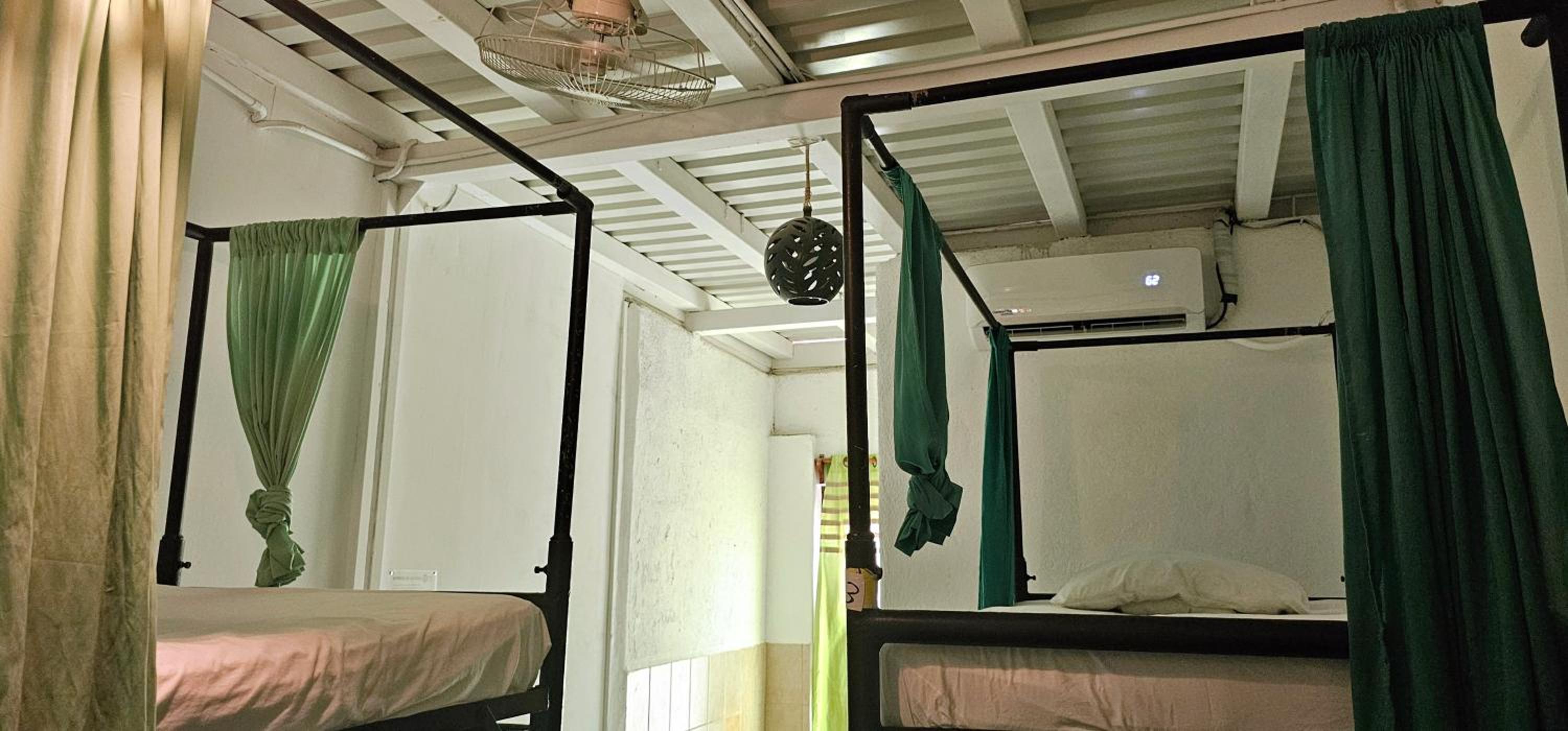 Casa Oro Eco Hostel