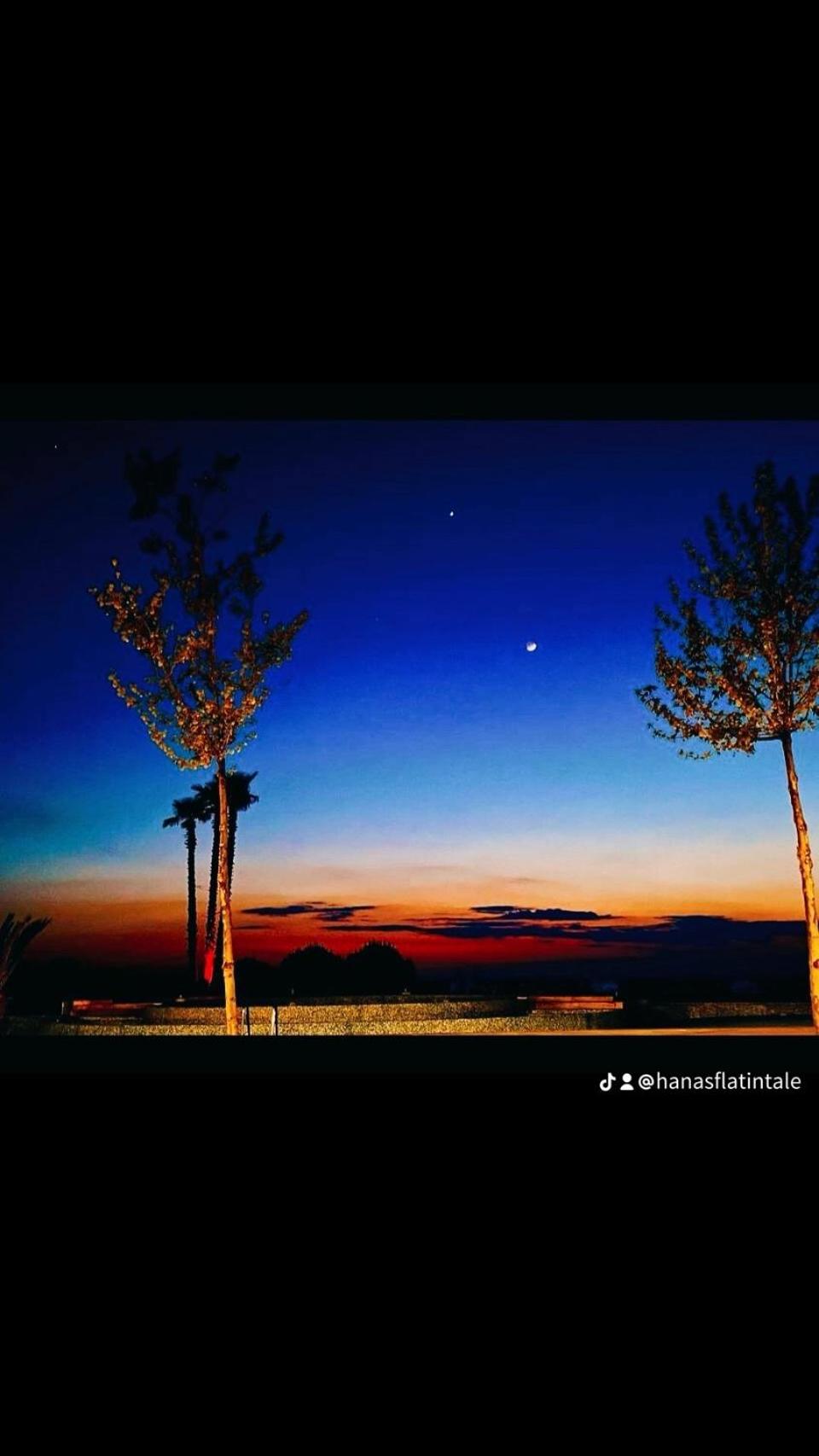 Tale beachfront flat