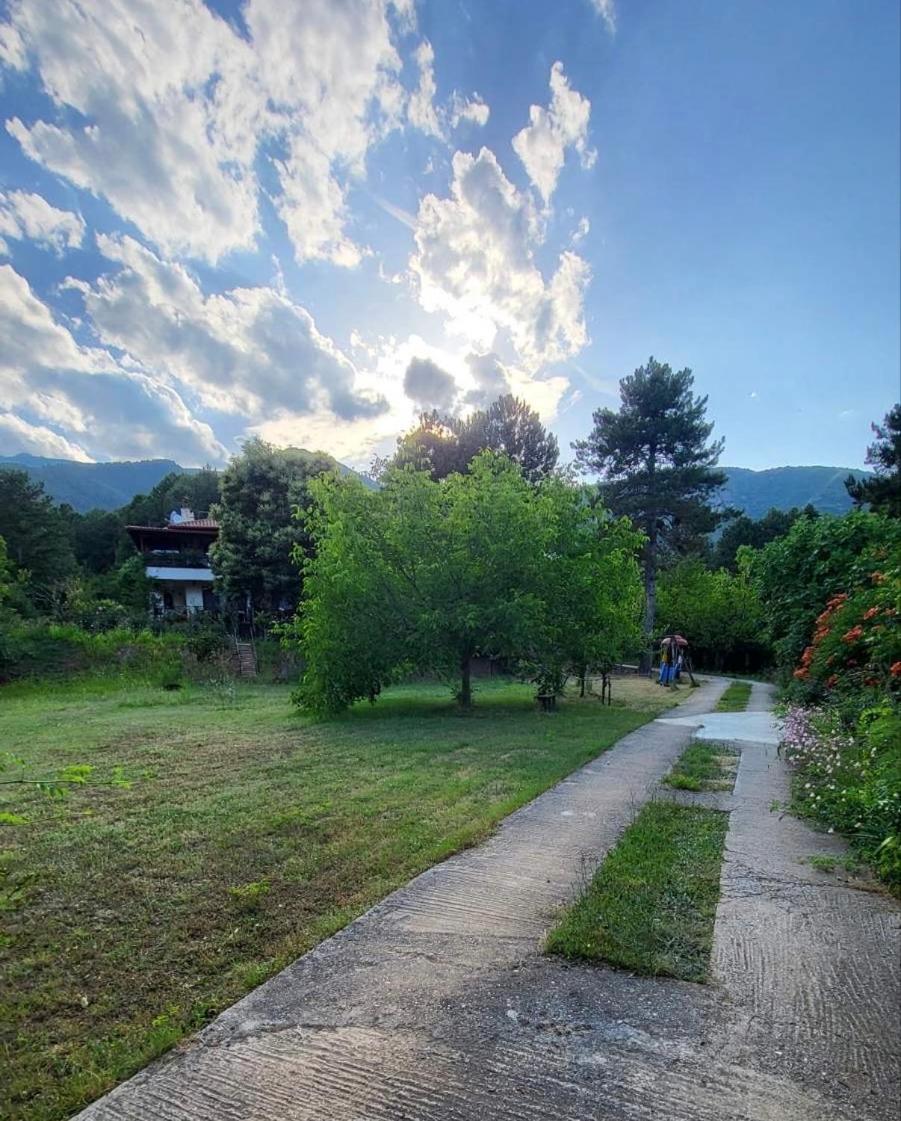 Koti Mountain House