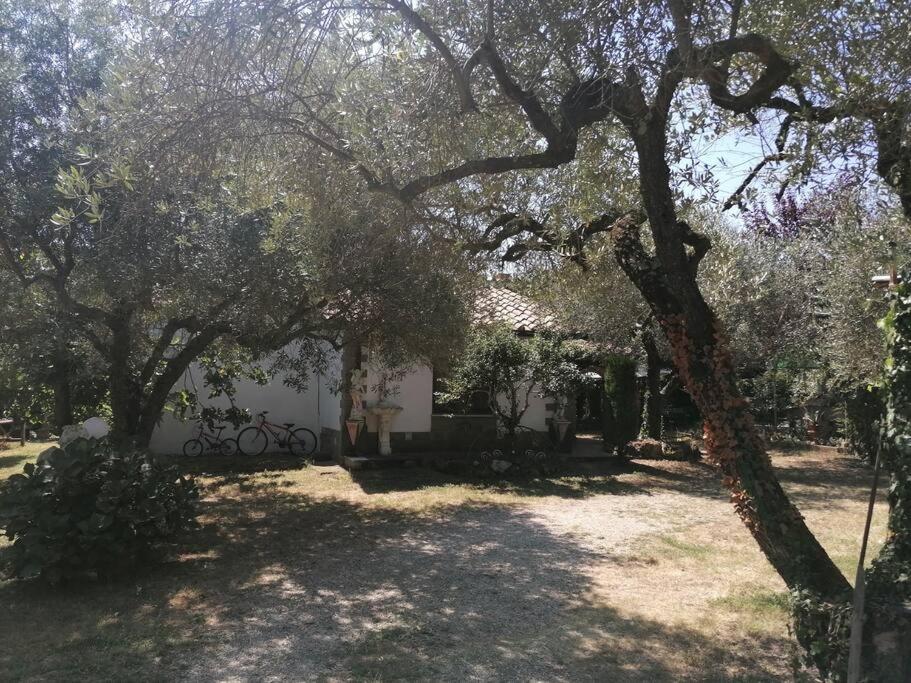 La Casetta di Elena