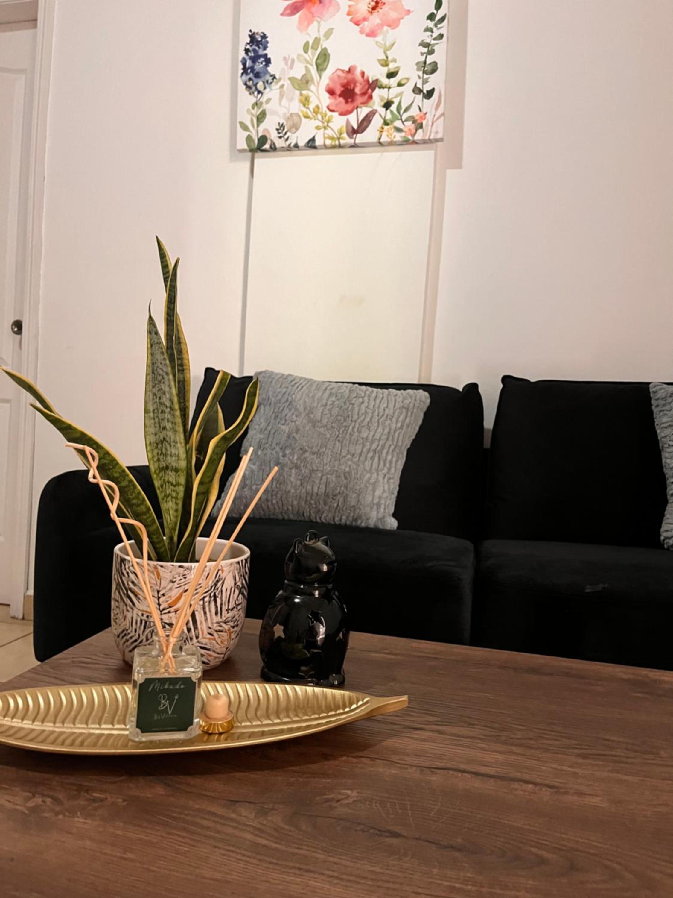 Apartamentos Trebol