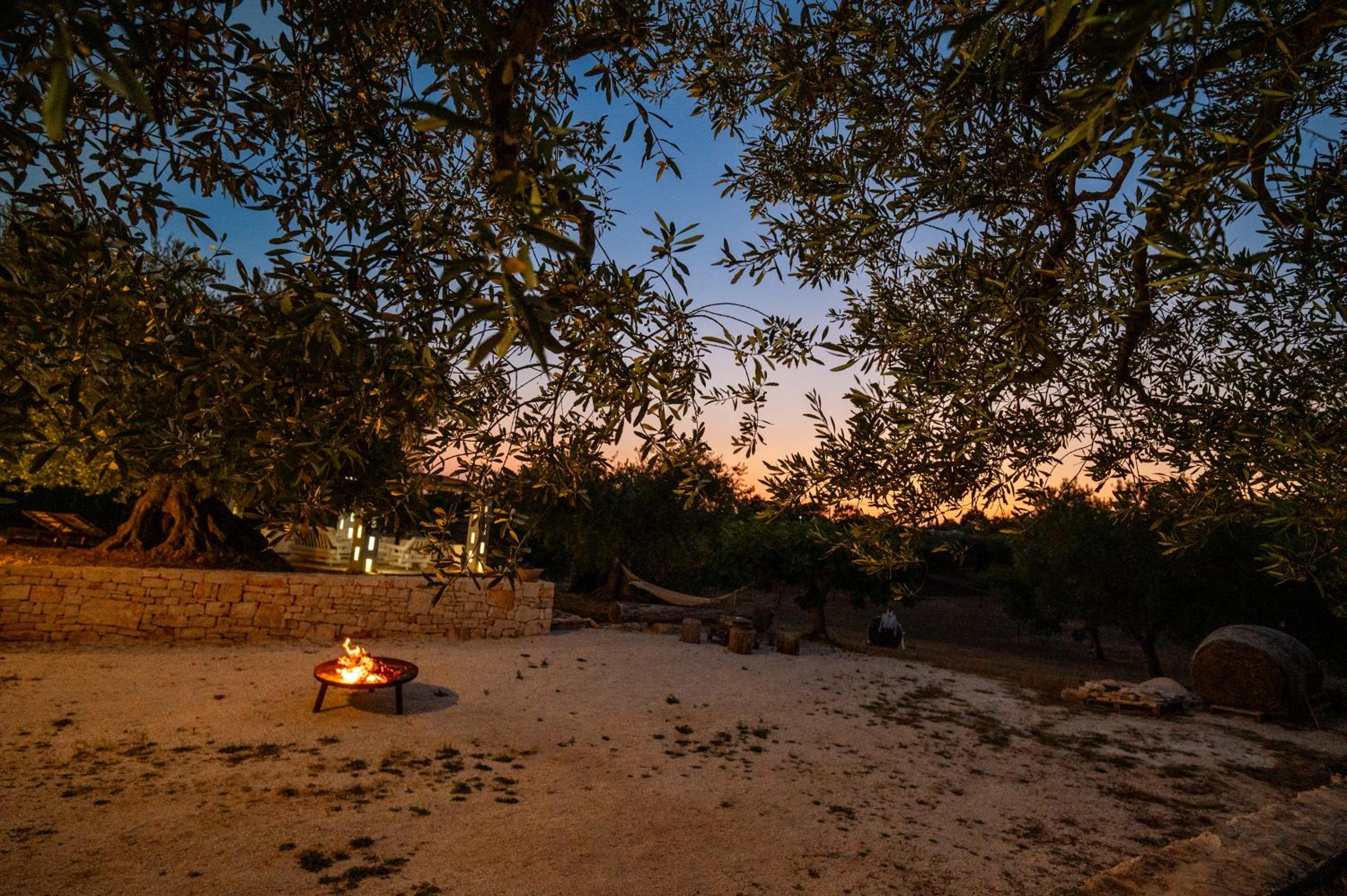 Photo 86