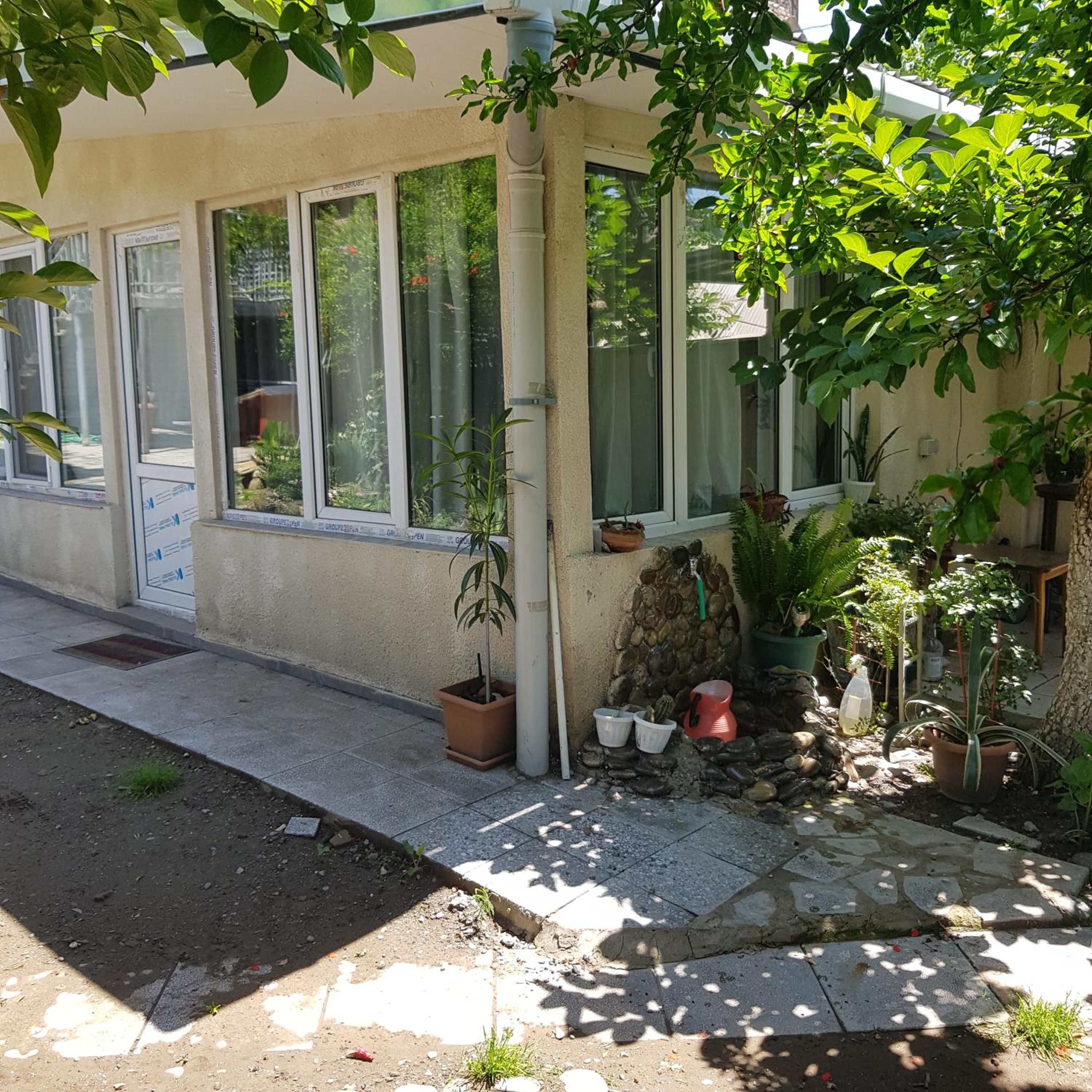 Summer Garden