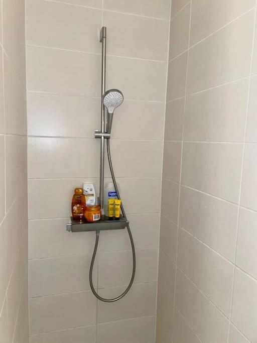 Elegant Canal-View Duplex with Free Parking