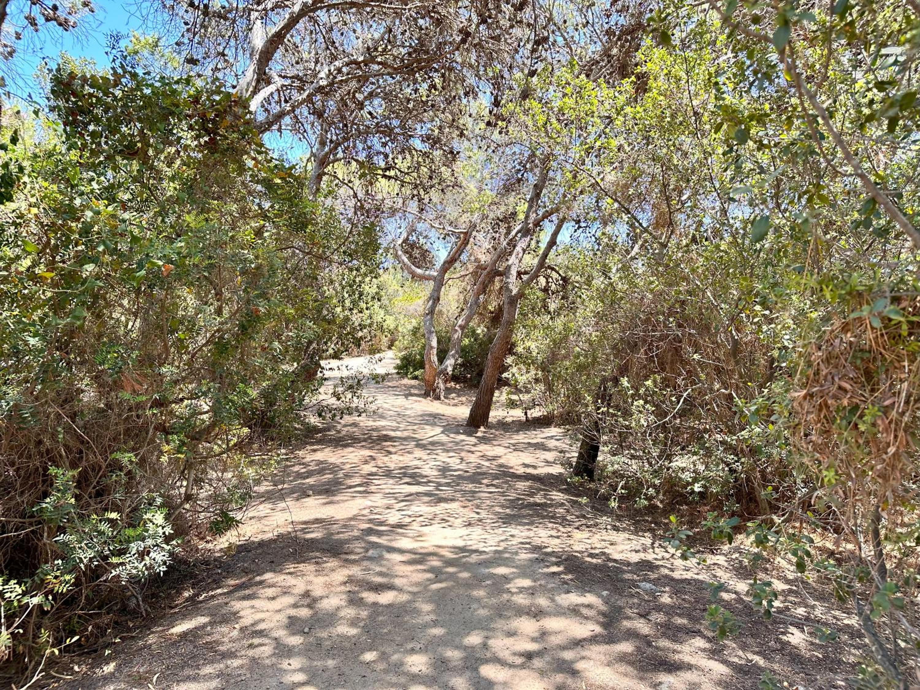 Blue shutters by the beach, Access to private beach